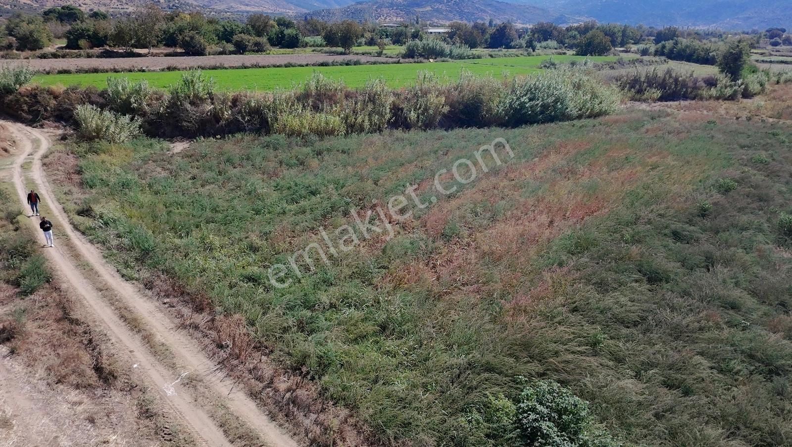 Aydın Nazilli Satılık 6.640 M2 Tarla - Görsel 5