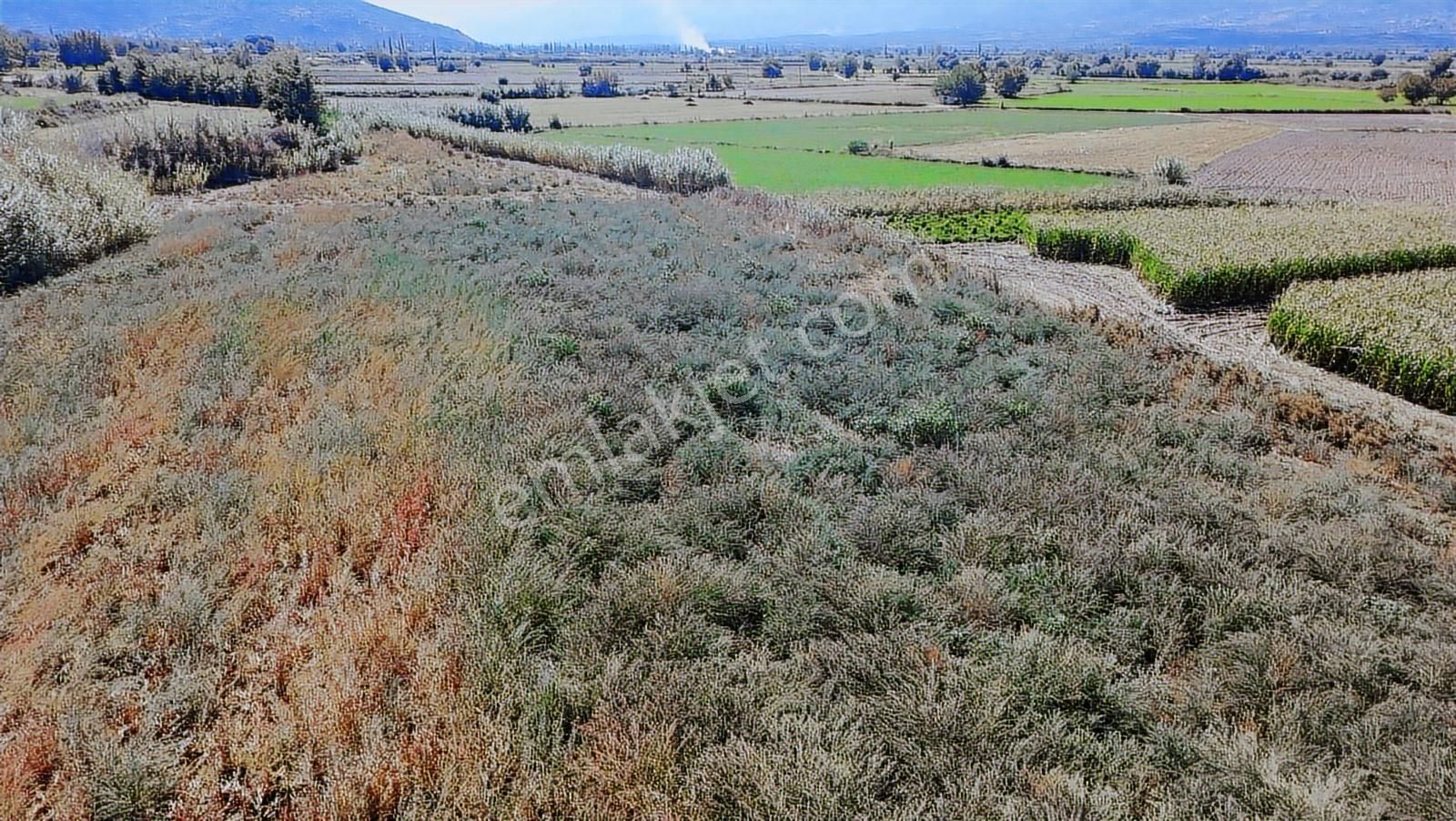 Aydın Nazilli Satılık 6.640 M2 Tarla - Görsel 13