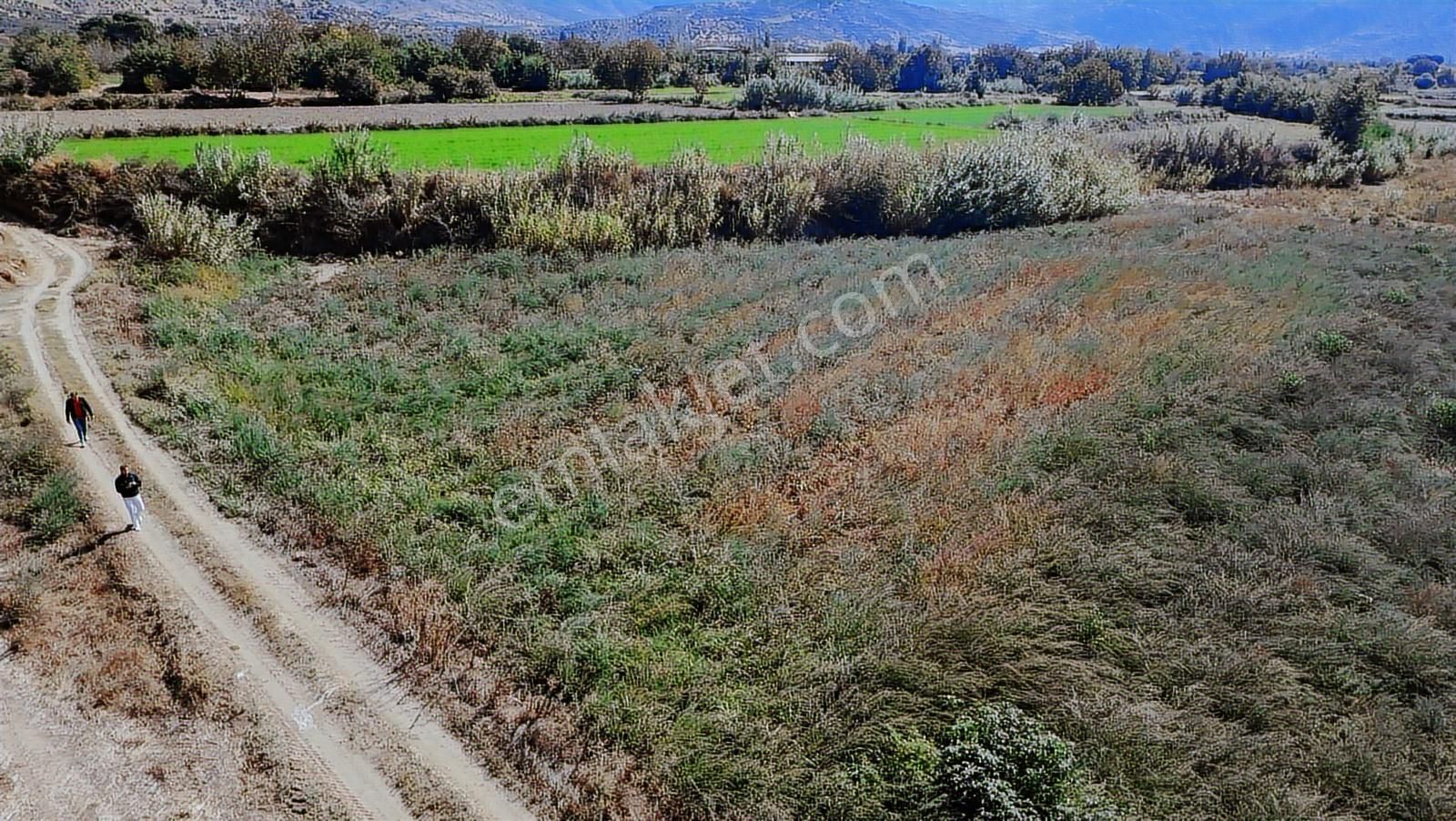 Aydın Nazilli Satılık 6.640 M2 Tarla - Görsel 10