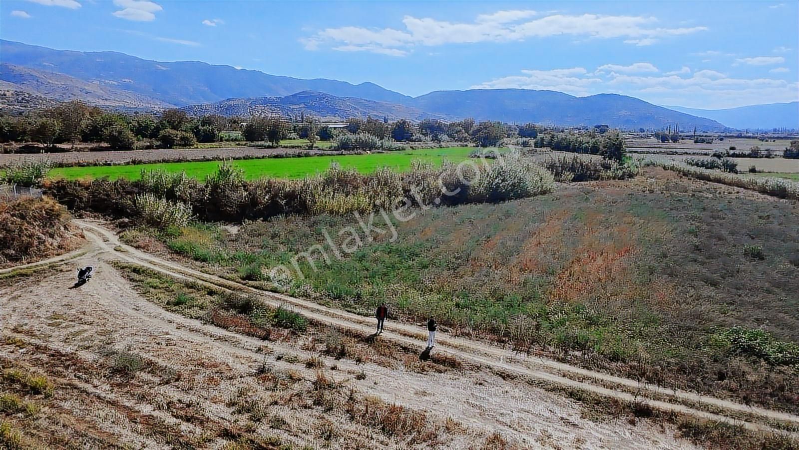 Aydın Nazilli Satılık 6.640 M2 Tarla - Görsel 4