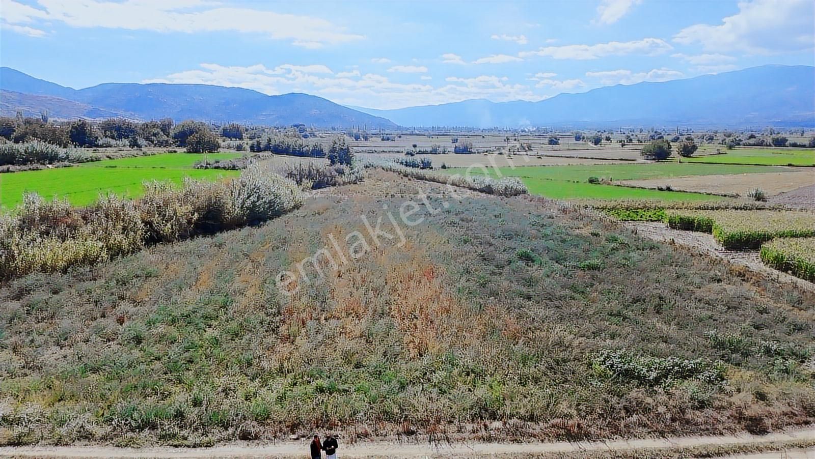 Aydın Nazilli Satılık 6.640 M2 Tarla - Görsel 6