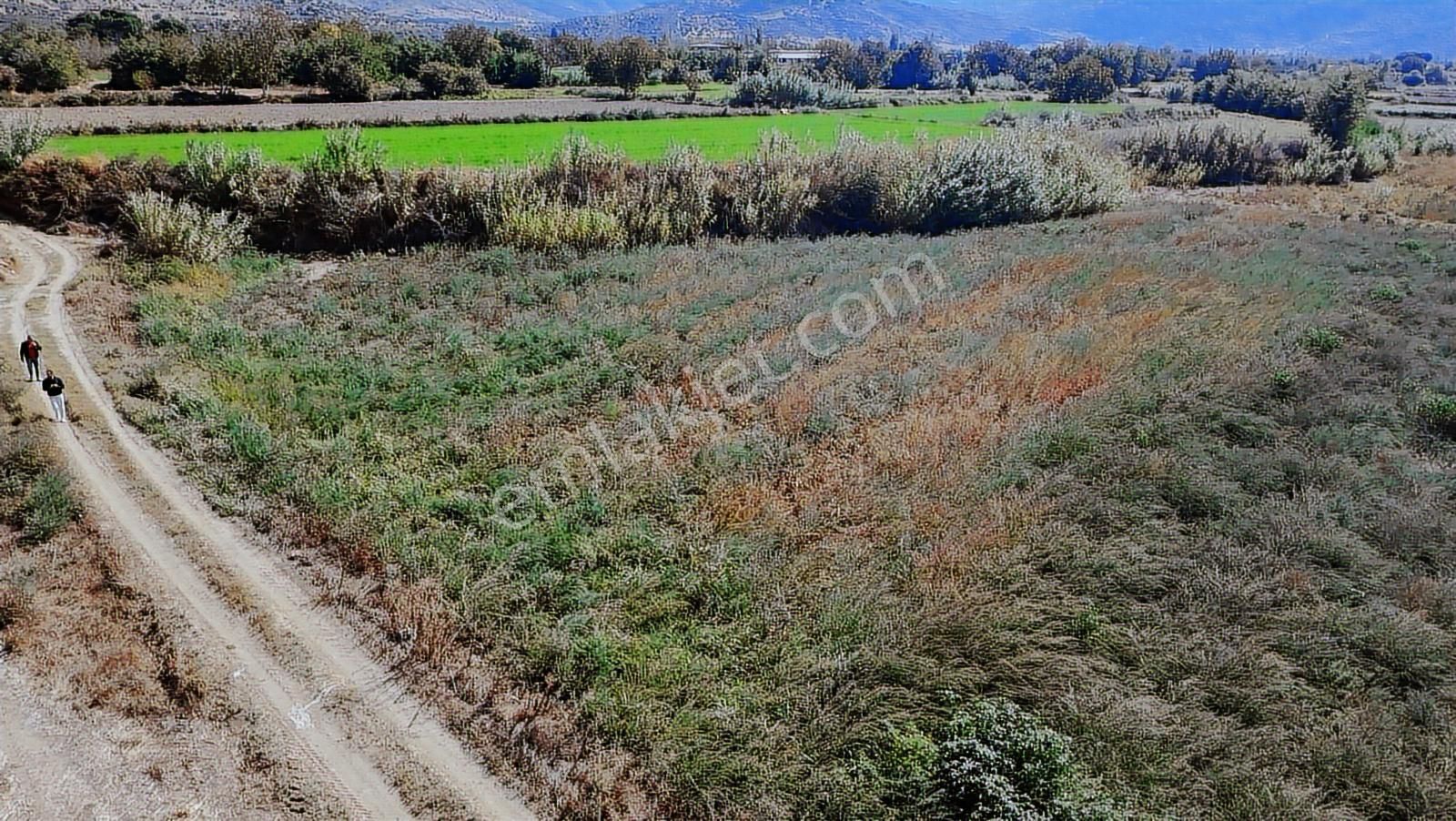 Aydın Nazilli Satılık 6.640 M2 Tarla - Görsel 3