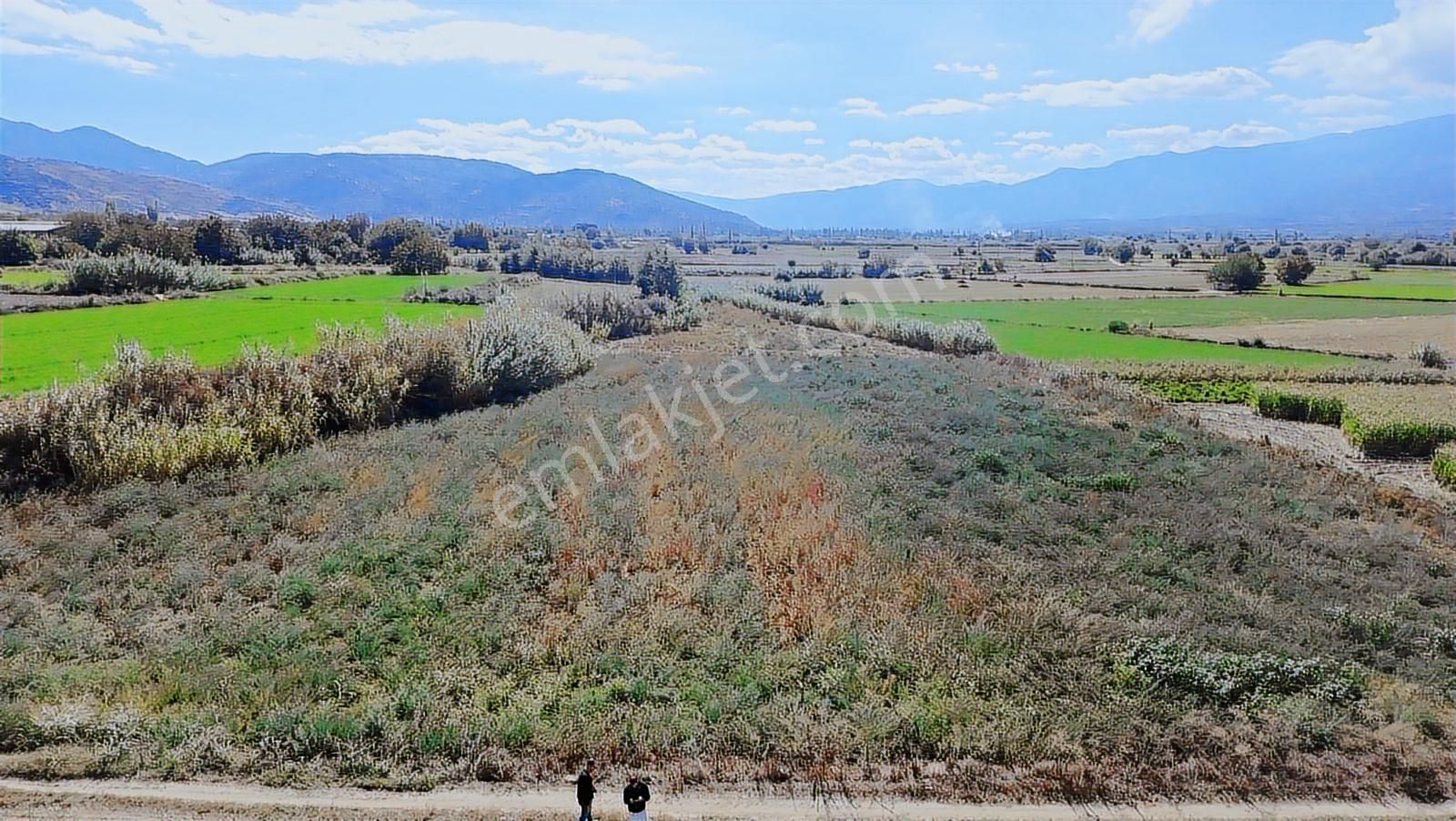 Aydın Nazilli Satılık 6.640 M2 Tarla - Görsel 16