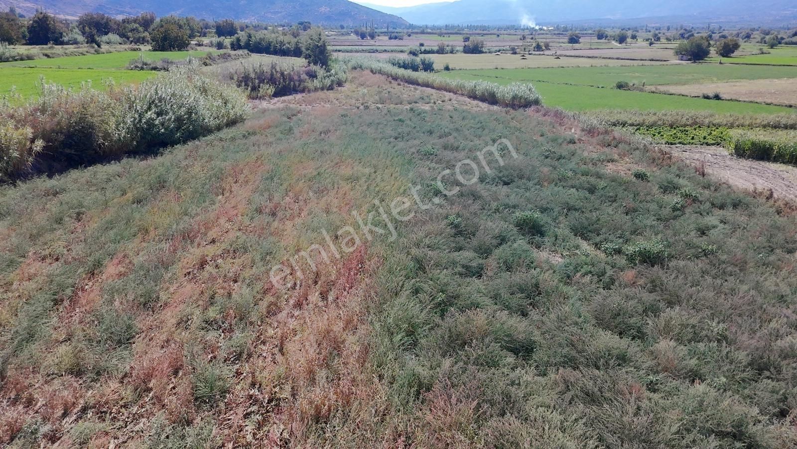 Aydın Nazilli Satılık 6.640 M2 Tarla - Görsel 7