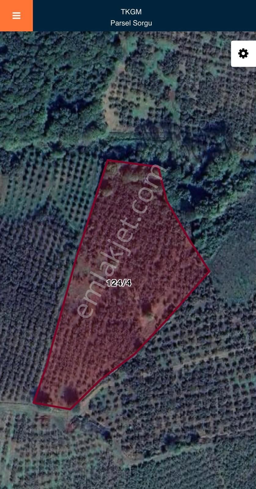 Karasu Resuller Köyü’nde 10.293 M² Verimli Fındık Bahçesi - Görsel 21