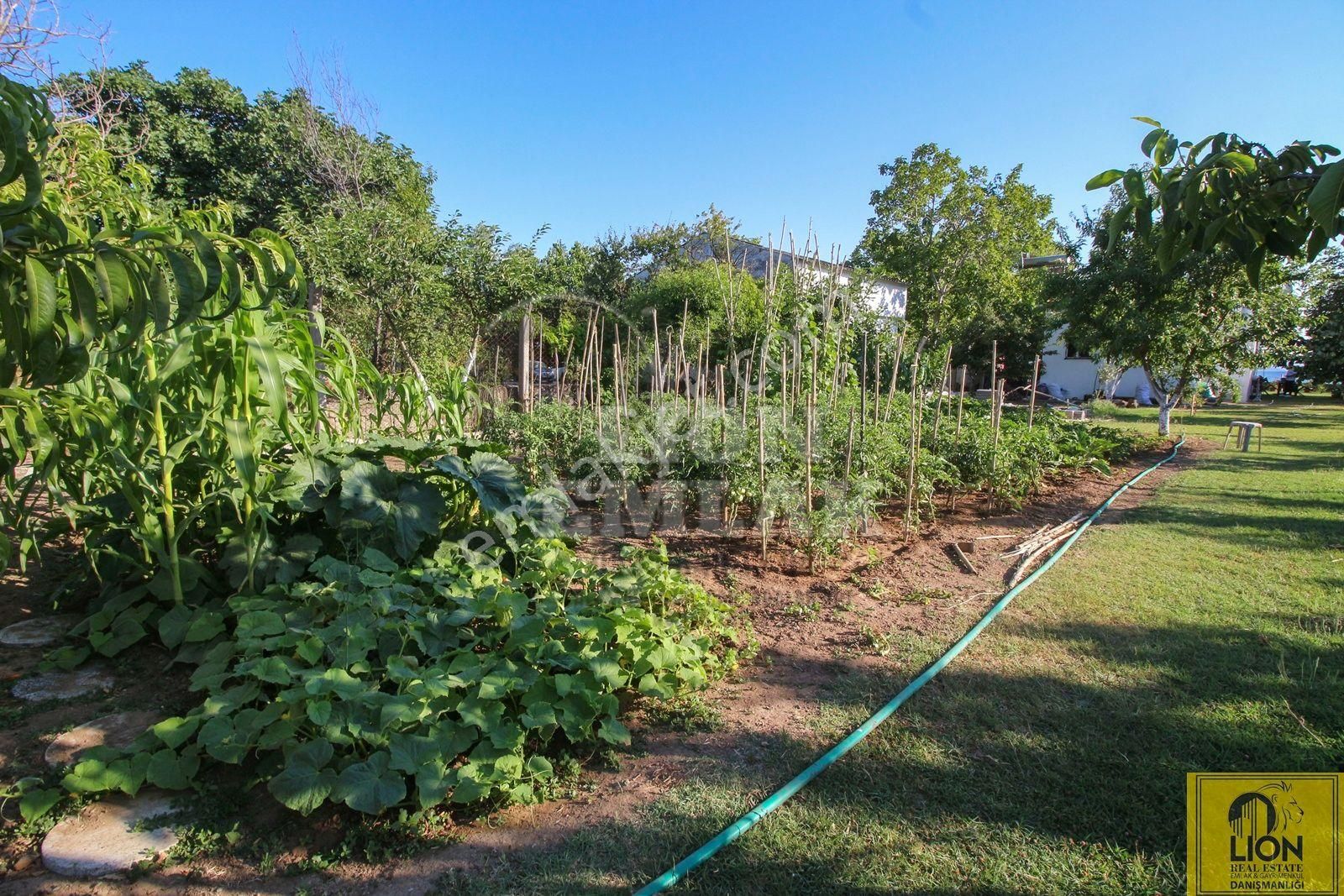 🟨⬛lıon Emlak'tan Erdek Yukarıyapıcı'da Denize Sıfır 820m² Arsa Üzerinde 2+1 Satılık Müstakil Ev⬛🟨 - Görsel 29