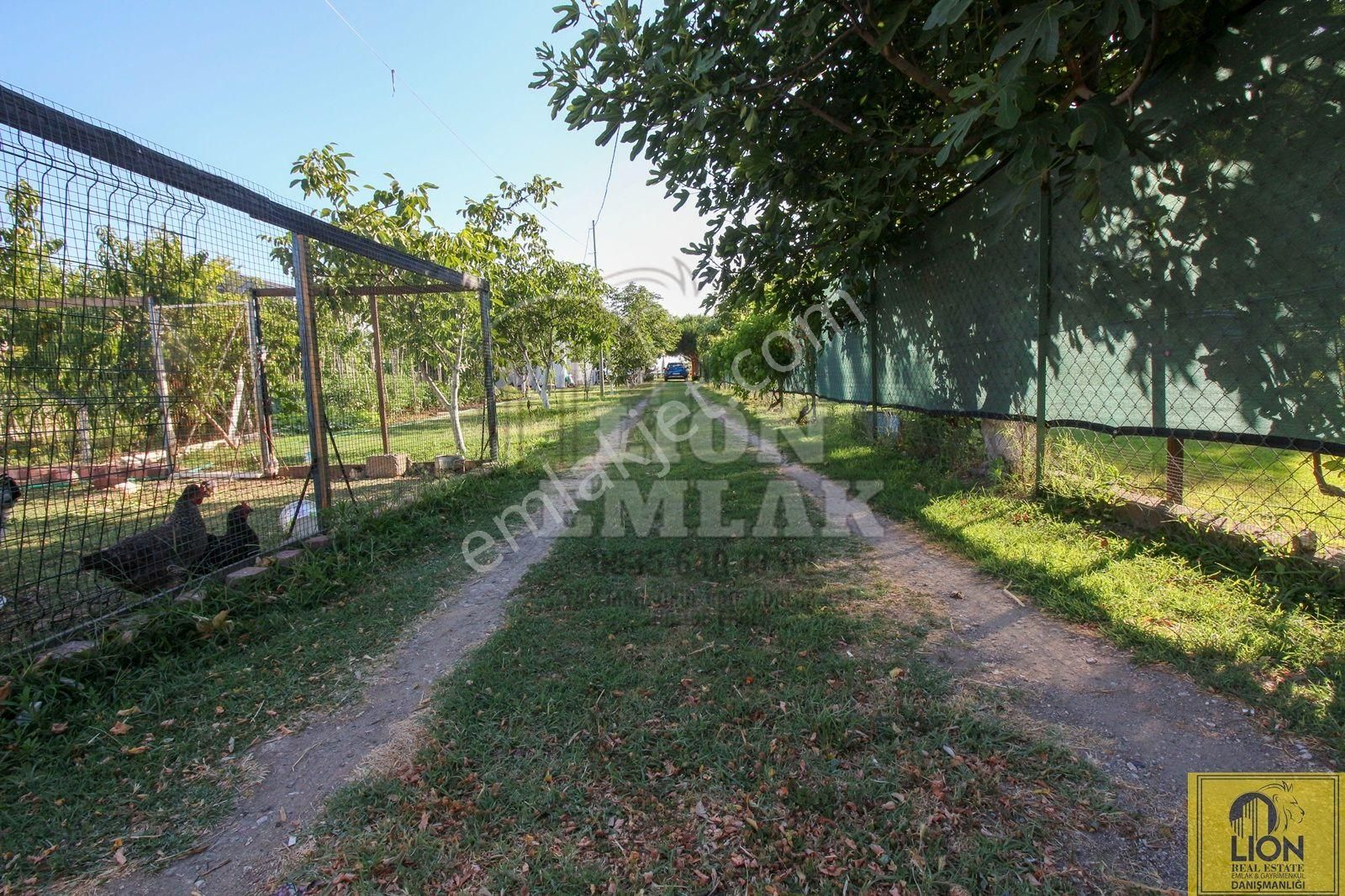🟨⬛lıon Emlak'tan Erdek Yukarıyapıcı'da Denize Sıfır 820m² Arsa Üzerinde 2+1 Satılık Müstakil Ev⬛🟨 - Görsel 32