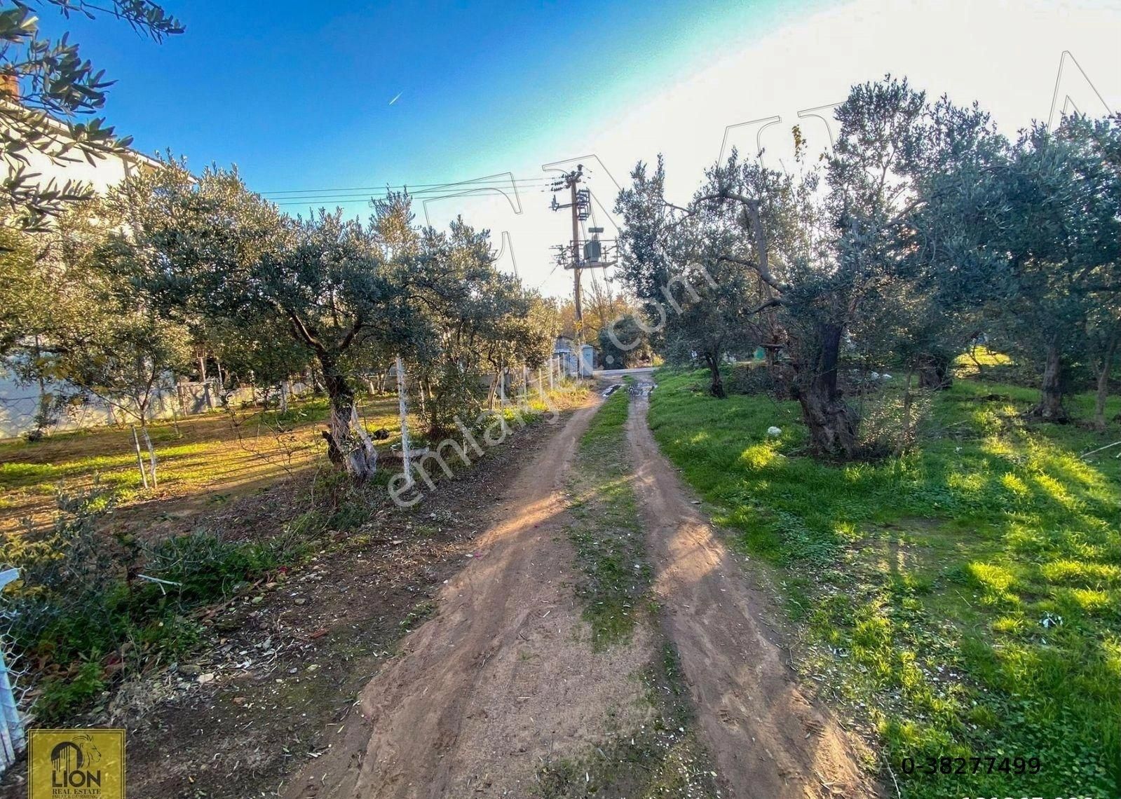 🟨⬛lıon Emlak'tan Erdek Karşıyaka Mahallesinde 589 M² Arsa İçerisinde Denize Yakın Prefabrik Ev⬛🟨 - Görsel 26