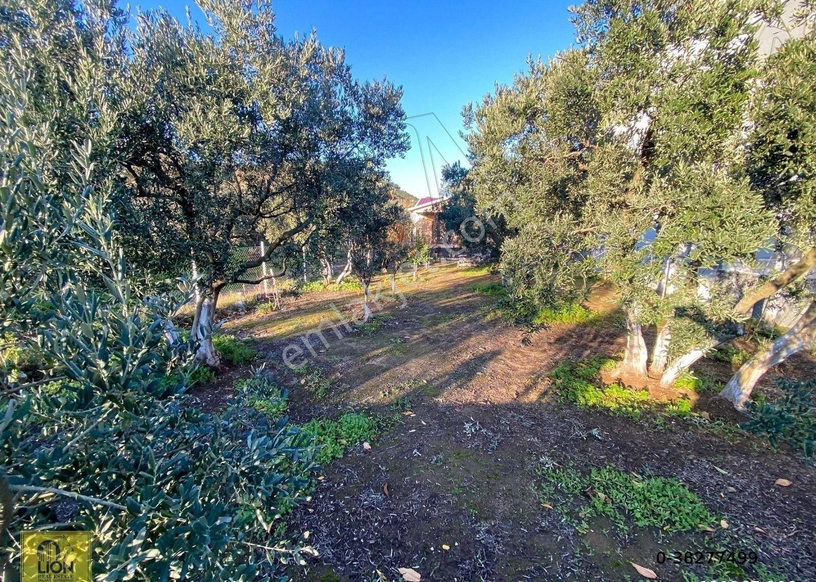 🟨⬛lıon Emlak'tan Erdek Karşıyaka Mahallesinde 589 M² Arsa İçerisinde Denize Yakın Prefabrik Ev⬛🟨 - Görsel 25