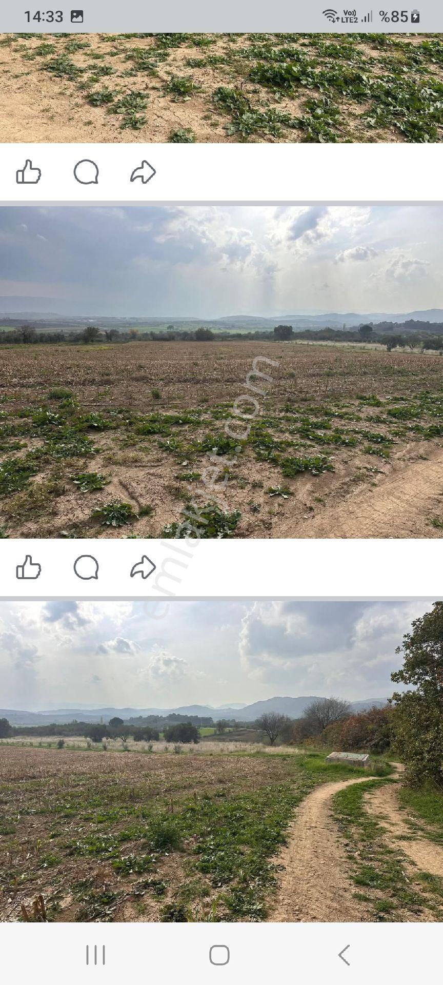 Satılık Müstakiltapu Tarla - Görsel 2