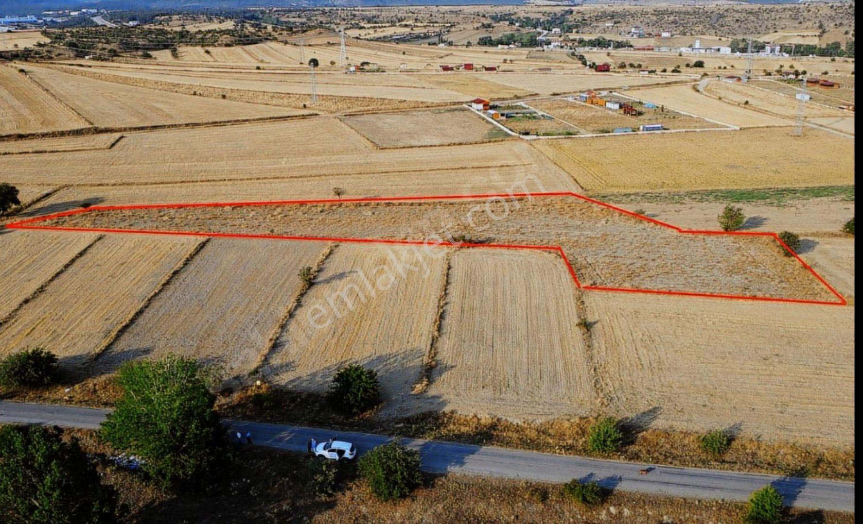  satılık – Kastamonu Merkez / Halife Köyü – Yola Cepheli 4.851 M² Verimli Tarla