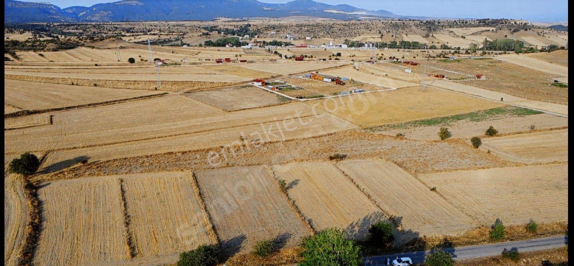  satılık – Kastamonu Merkez / Halife Köyü – Yola Cepheli 4.851 M² Verimli Tarla - Görsel 2