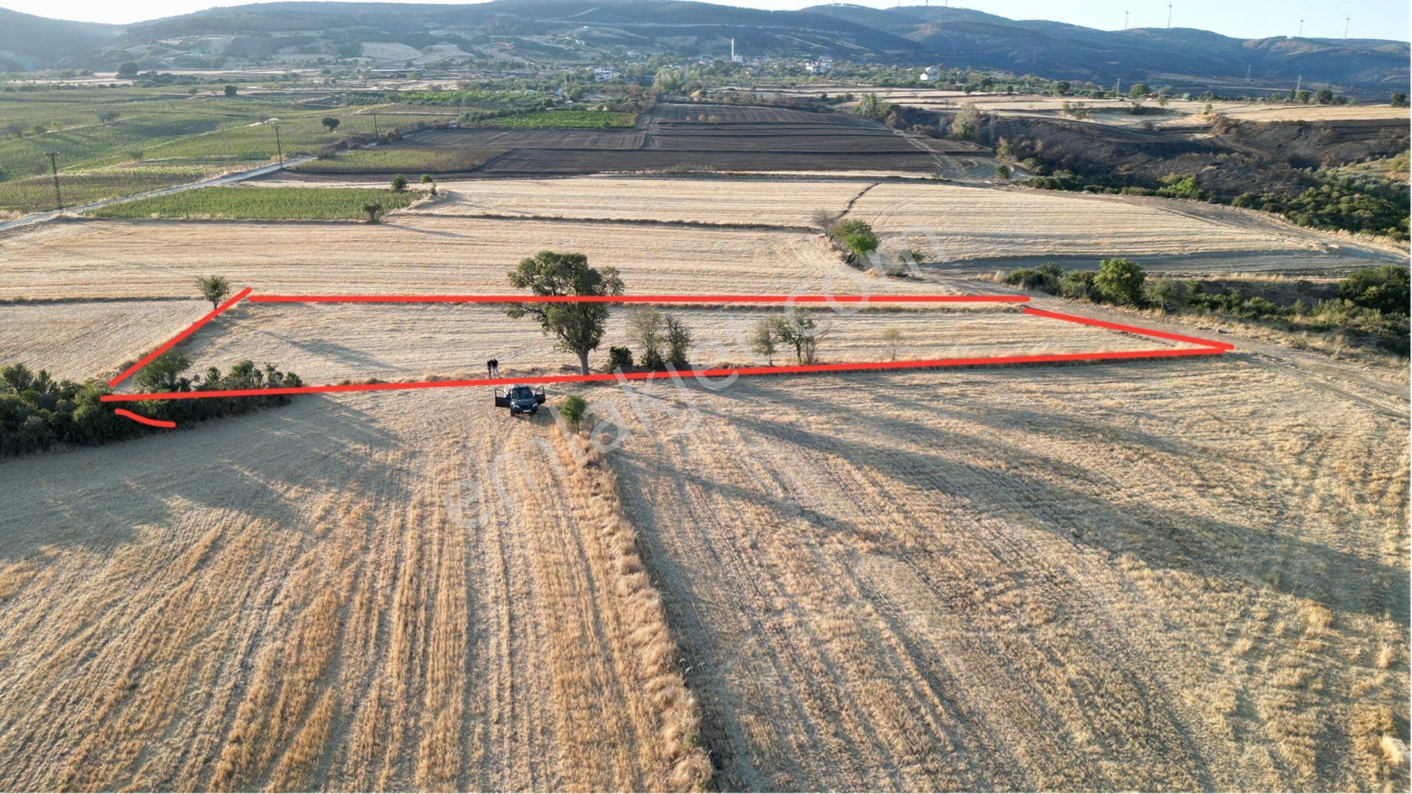 Şarköy Kocaali Mh. Deniz Manzaralı 3.012 Metre Tarla Satılık - Görsel 6