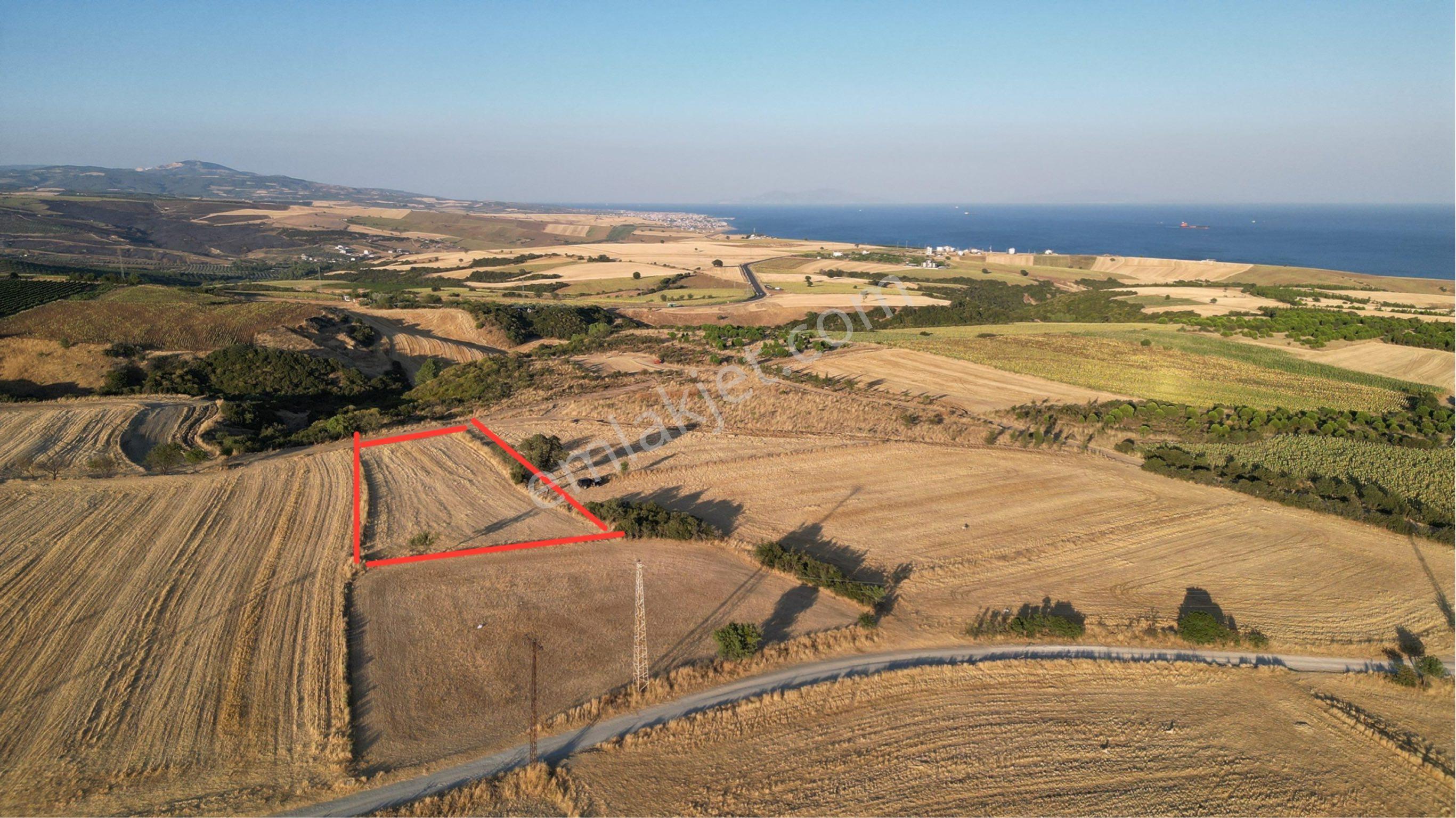 Şarköy Kocaali Mh. Deniz Manzaralı 3.012 Metre Tarla Satılık - Görsel 5