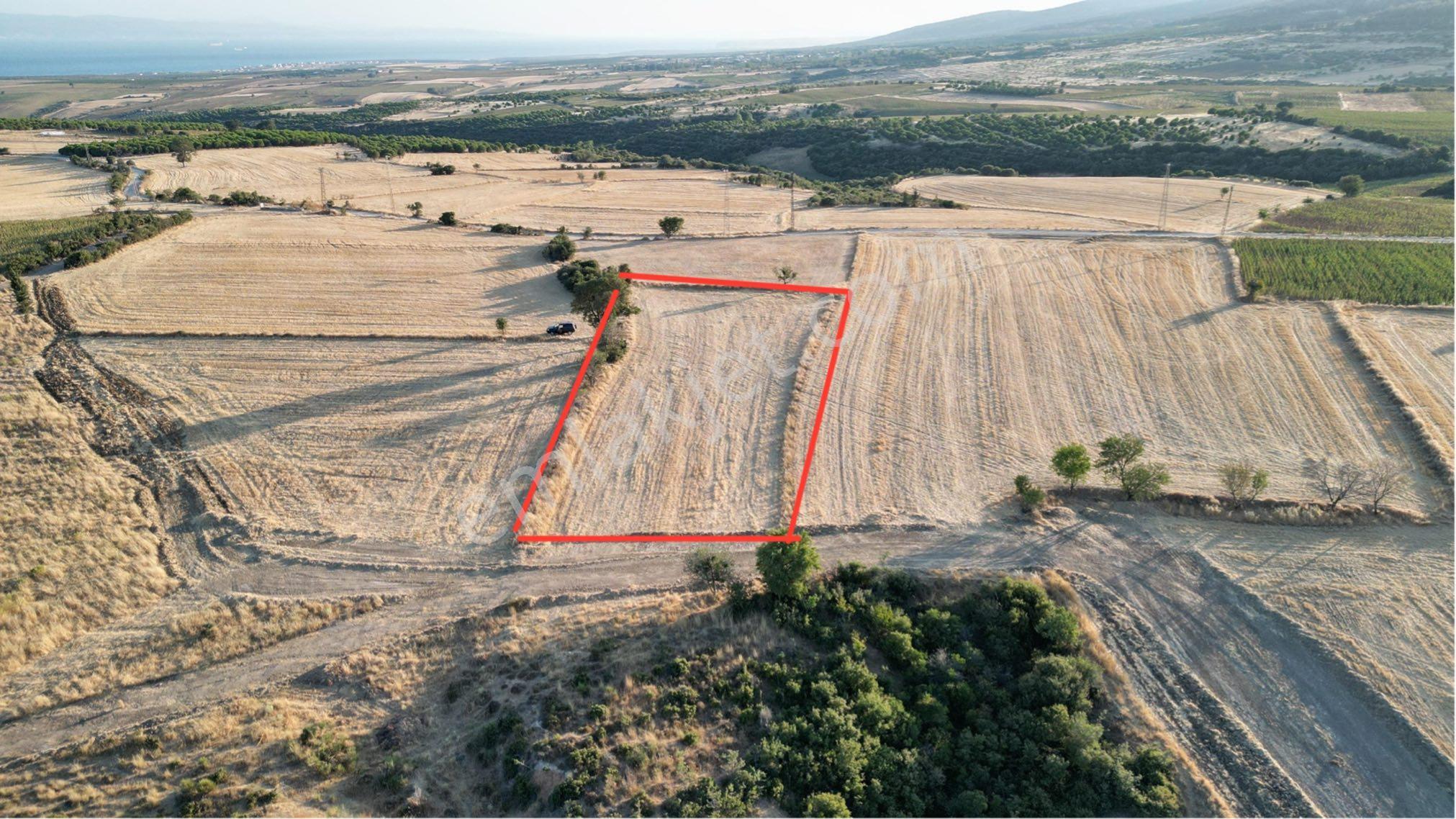 Şarköy Kocaali Mh. Deniz Manzaralı 3.012 Metre Tarla Satılık - Görsel 7