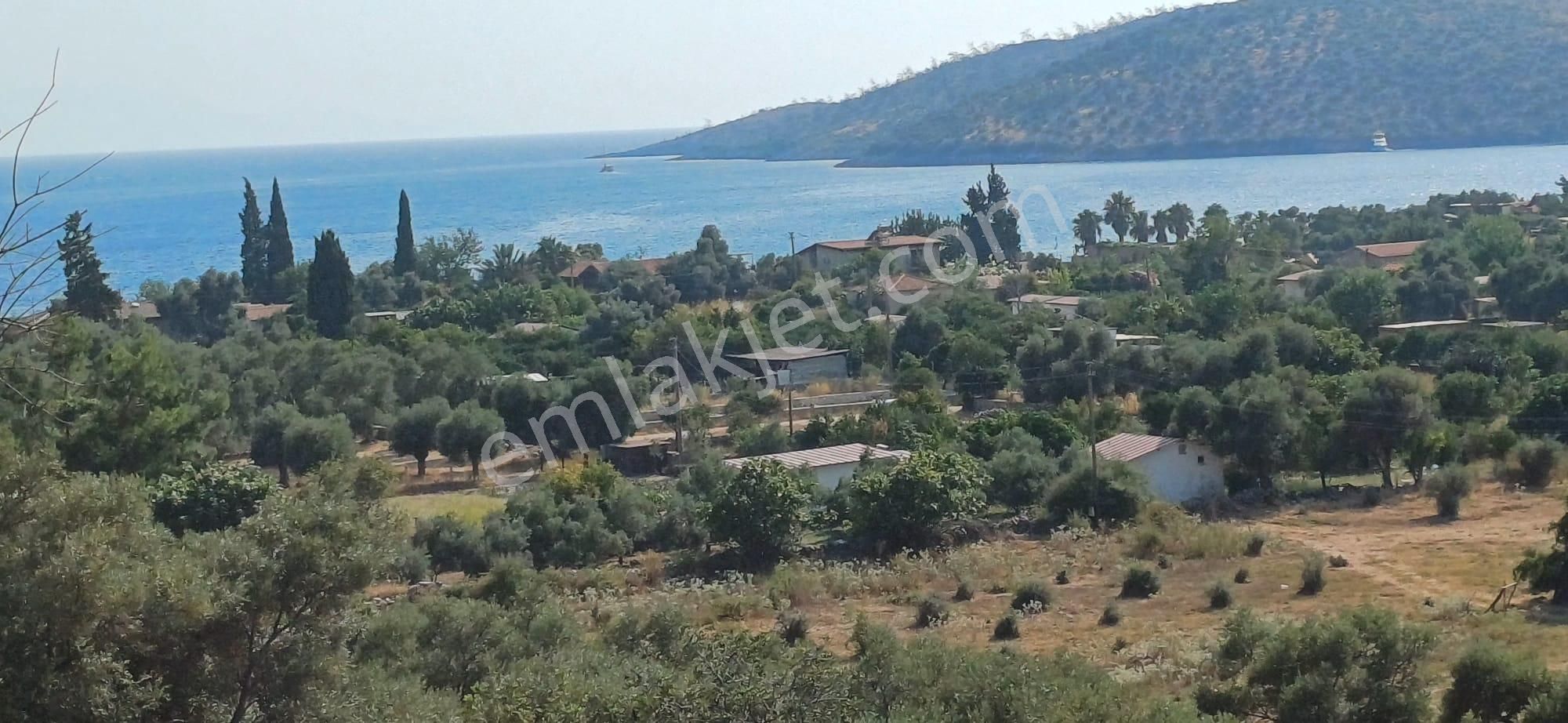 Gökova Körfezinin Eşsiz Cenneti Çökertme Koyu İçinde Ahır Ve Kagir Ev Olan Arazi Satılık - Görsel 15