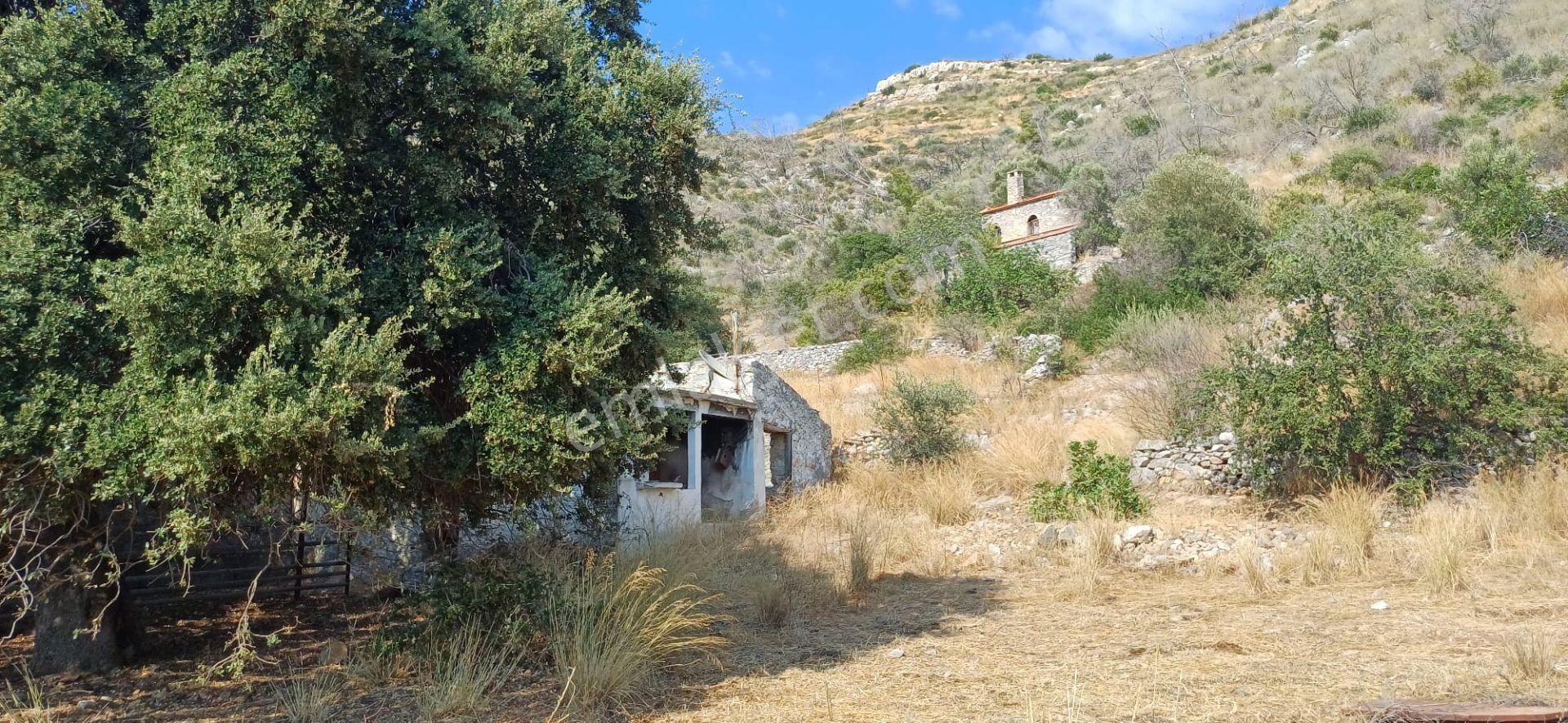 Gökova Körfezinin Eşsiz Cenneti Çökertme Koyu İçinde Ahır Ve Kagir Ev Olan Arazi Satılık - Görsel 11