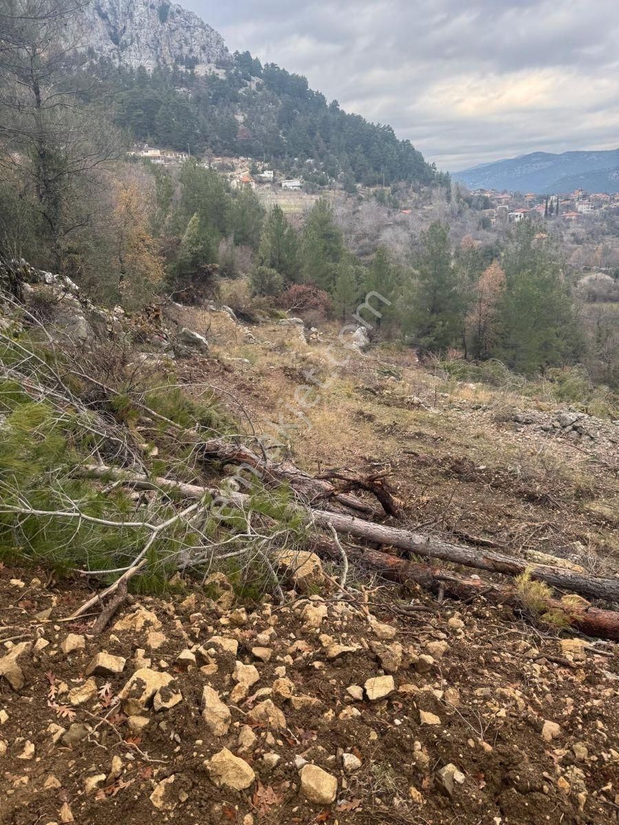 Akseki Erenyaka,da 3.371 M2 Doğayla İç İçe Yatırımlık Tarla - Görsel 10