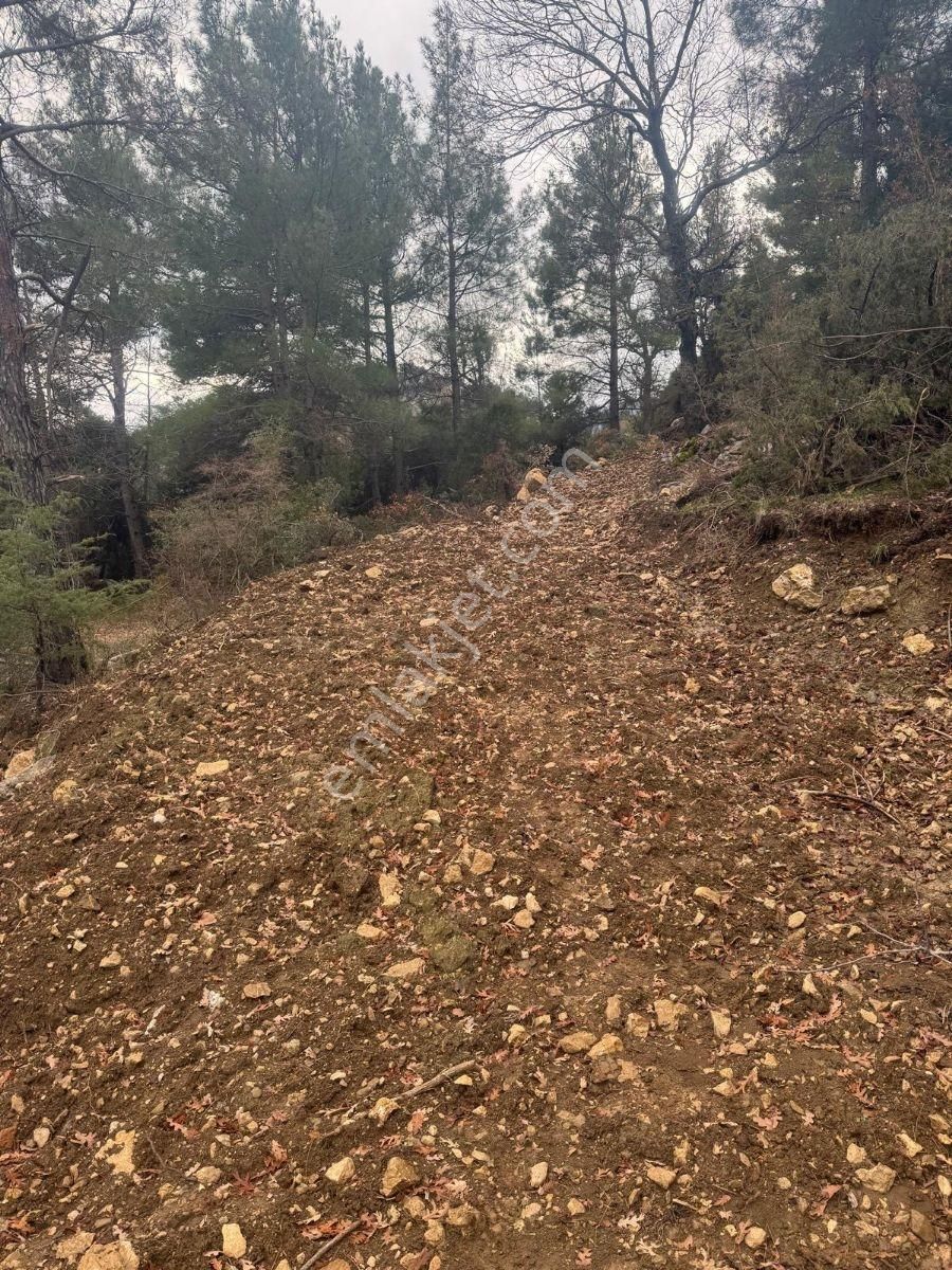 Akseki Erenyaka,da 3.371 M2 Doğayla İç İçe Yatırımlık Tarla - Görsel 3