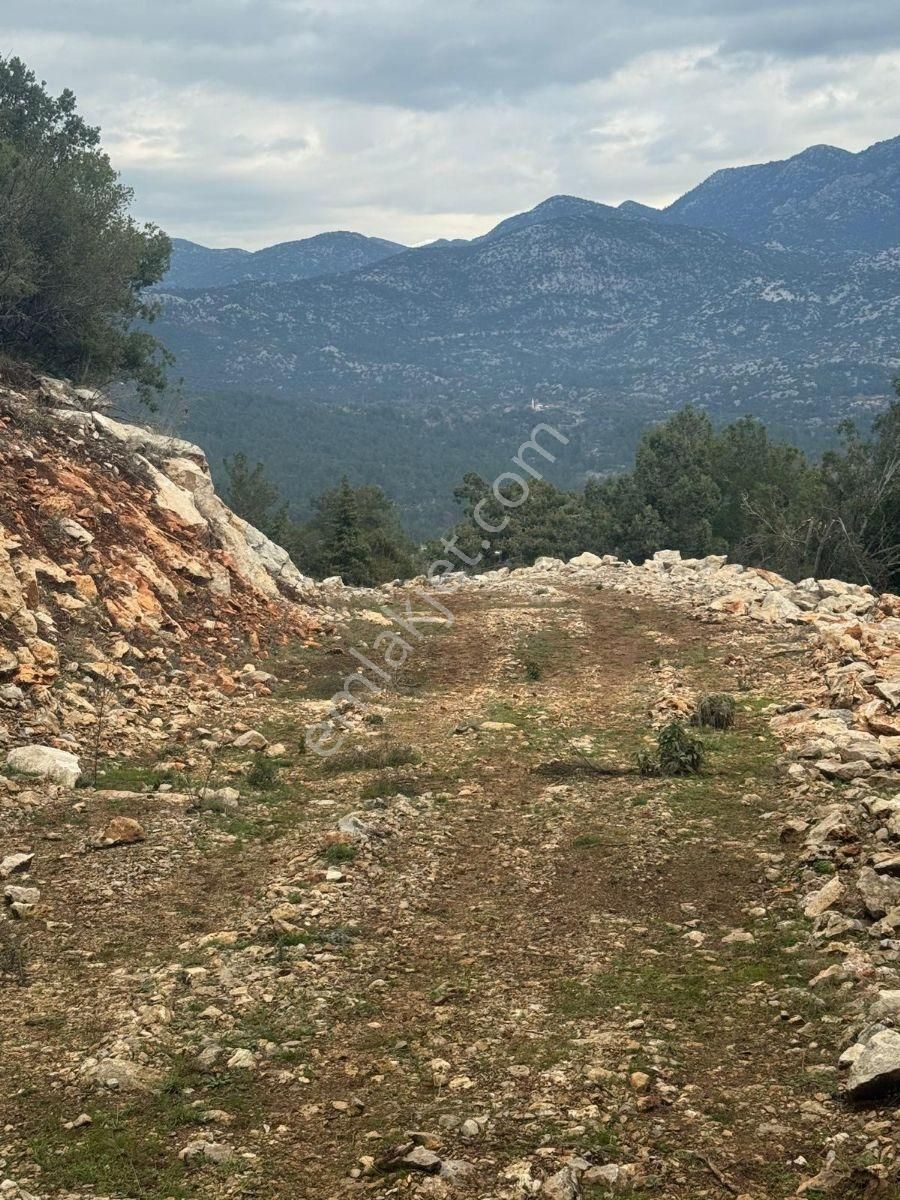 Akseki Erenyaka,da 3.371 M2 Doğayla İç İçe Yatırımlık Tarla - Görsel 12