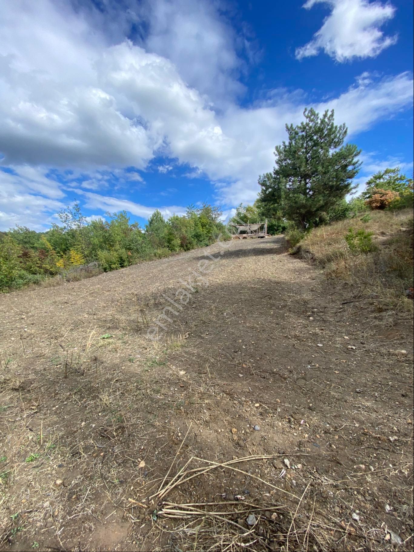 Anka Gm Den Küçük Yenice Mahallesinde Satılık 550 M2 Hobi Bahçesi - Görsel 10