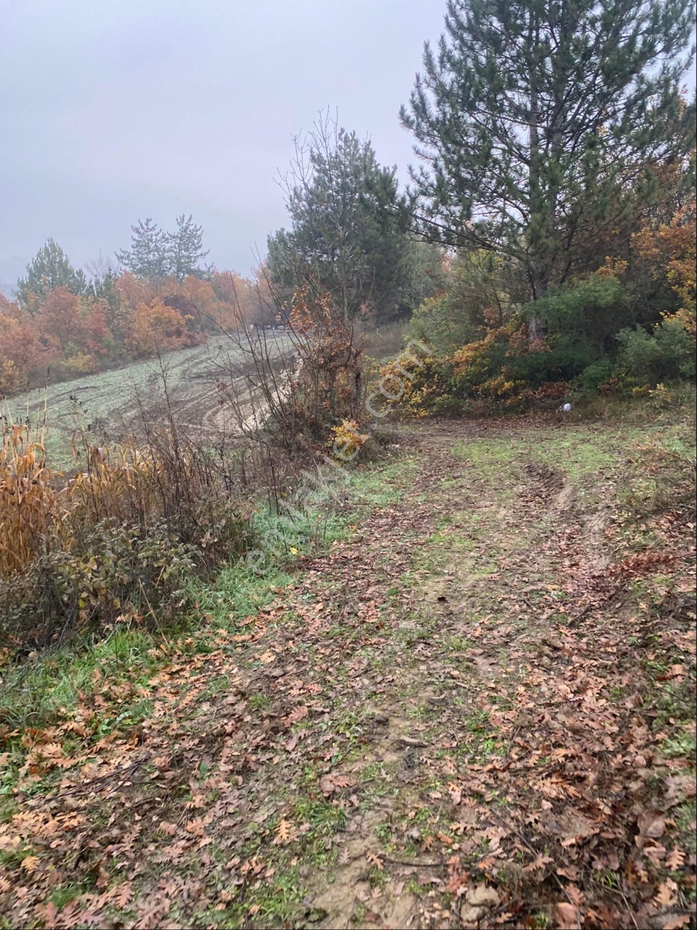 Anka Gm Den Küçük Yenice Mahallesinde Satılık 550 M2 Hobi Bahçesi - Görsel 4