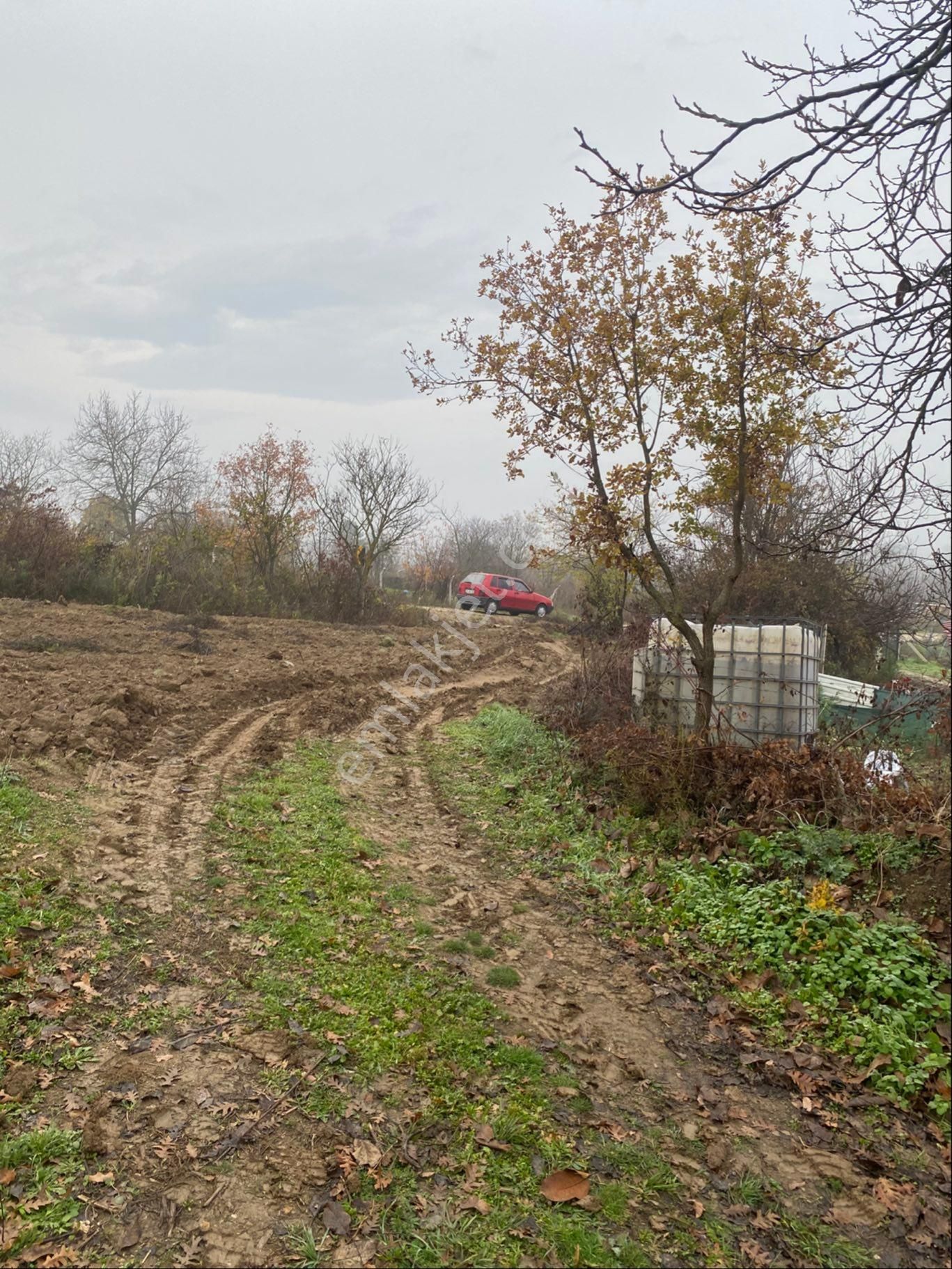 Anka Gm Den Küçük Yenice Mahallesinde Satılık 550 M2 Hobi Bahçesi - Görsel 3