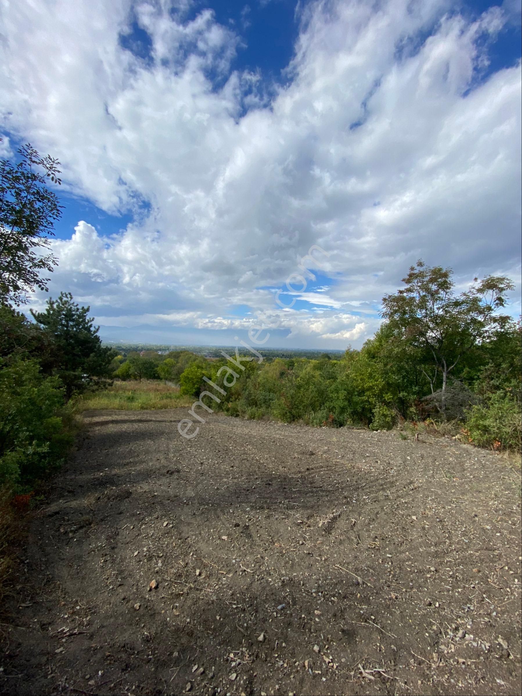 Anka Gm Den Küçük Yenice Mahallesinde Satılık 550 M2 Hobi Bahçesi - Görsel 8