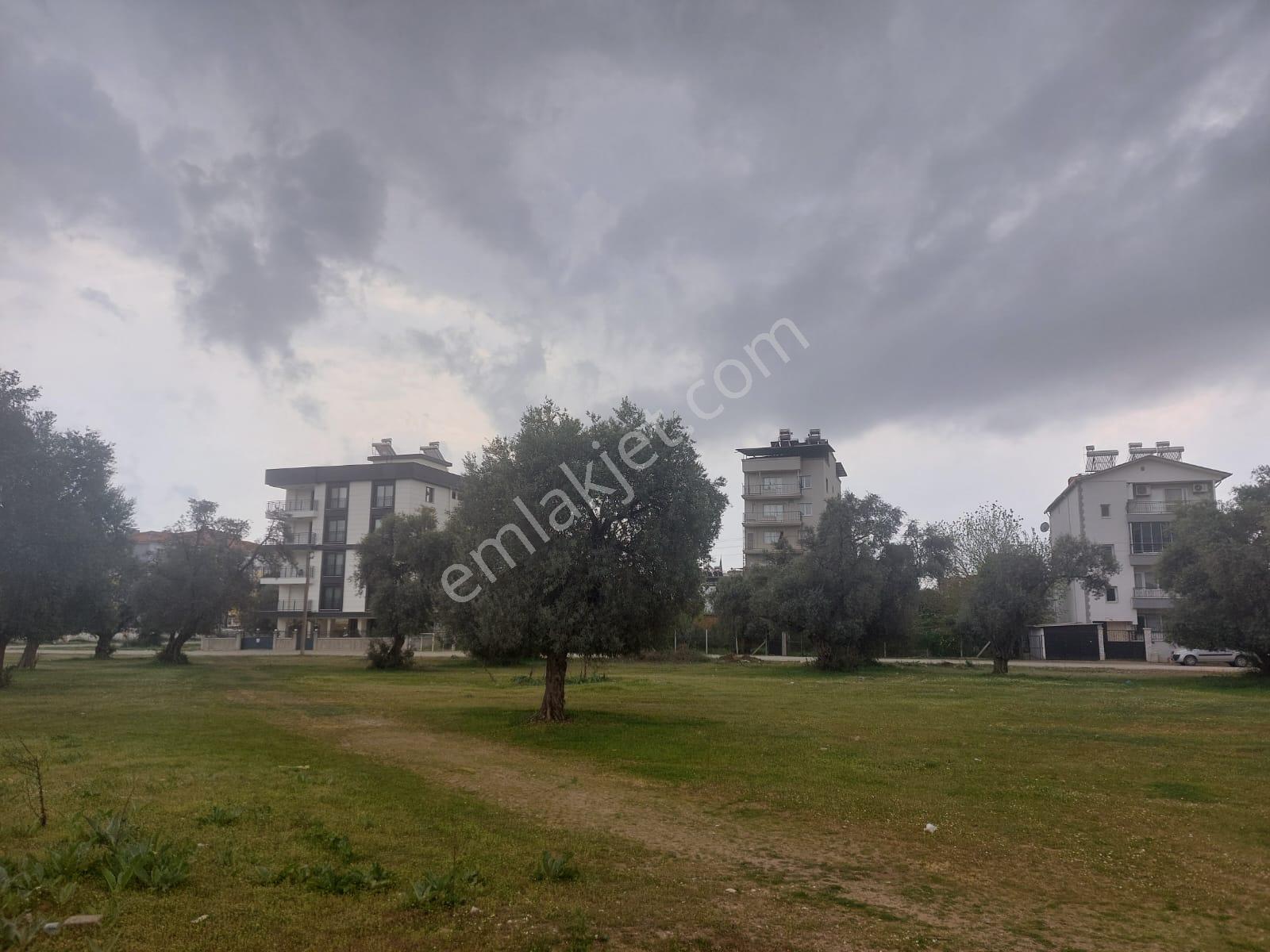 Aydın İncirliova Merkez'de 5 Kat İmarlı 230 M2 Arsa - Görsel 5