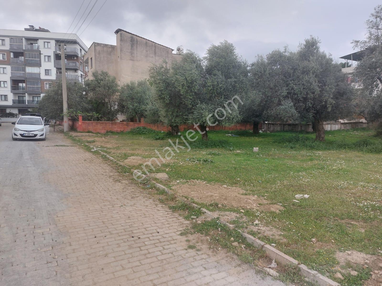 Aydın İncirliova Merkez'de 5 Kat İmarlı 230 M2 Arsa - Görsel 6