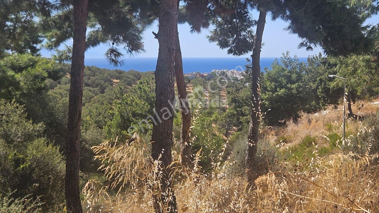 Kuşadası Soğucak'ta İnşaat Ruhsatı Alınmış Deniz Manzaralı Arsa - Görsel 2