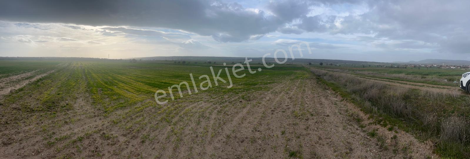 Edirne Enezde 13.500 Dönüm Fırsat Yatırımlık Arazi - Görsel 4