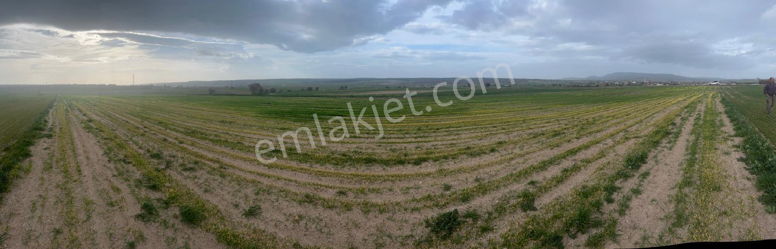 Edirne Enezde 13.500 Dönüm Fırsat Yatırımlık Arazi - Görsel 6