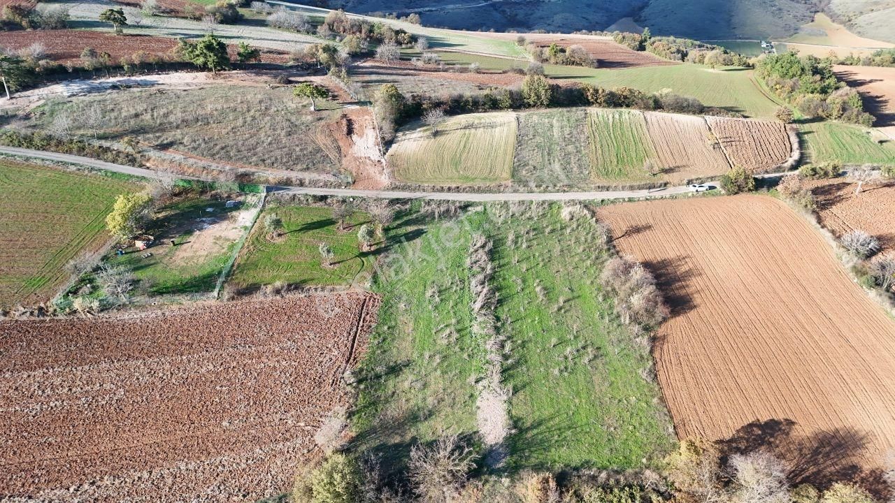 İnegöl Çavus Köyde 929m² Göl Manzaralı Tarla Kadastro Yol Cephe - Görsel 8