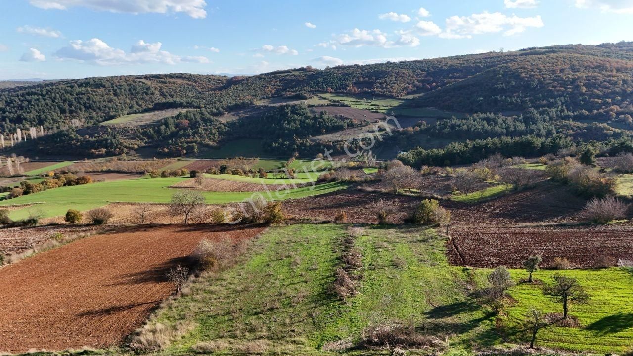 İnegöl Çavus Köyde 929m² Göl Manzaralı Tarla Kadastro Yol Cephe - Görsel 9