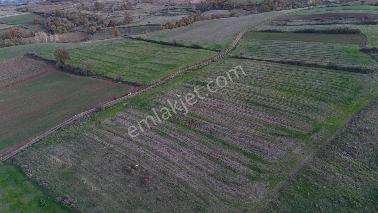 Deniz'den Kızderbent Köyünde %5 İmarlı Resmi Yola Cepheli Tarla - Görsel 9