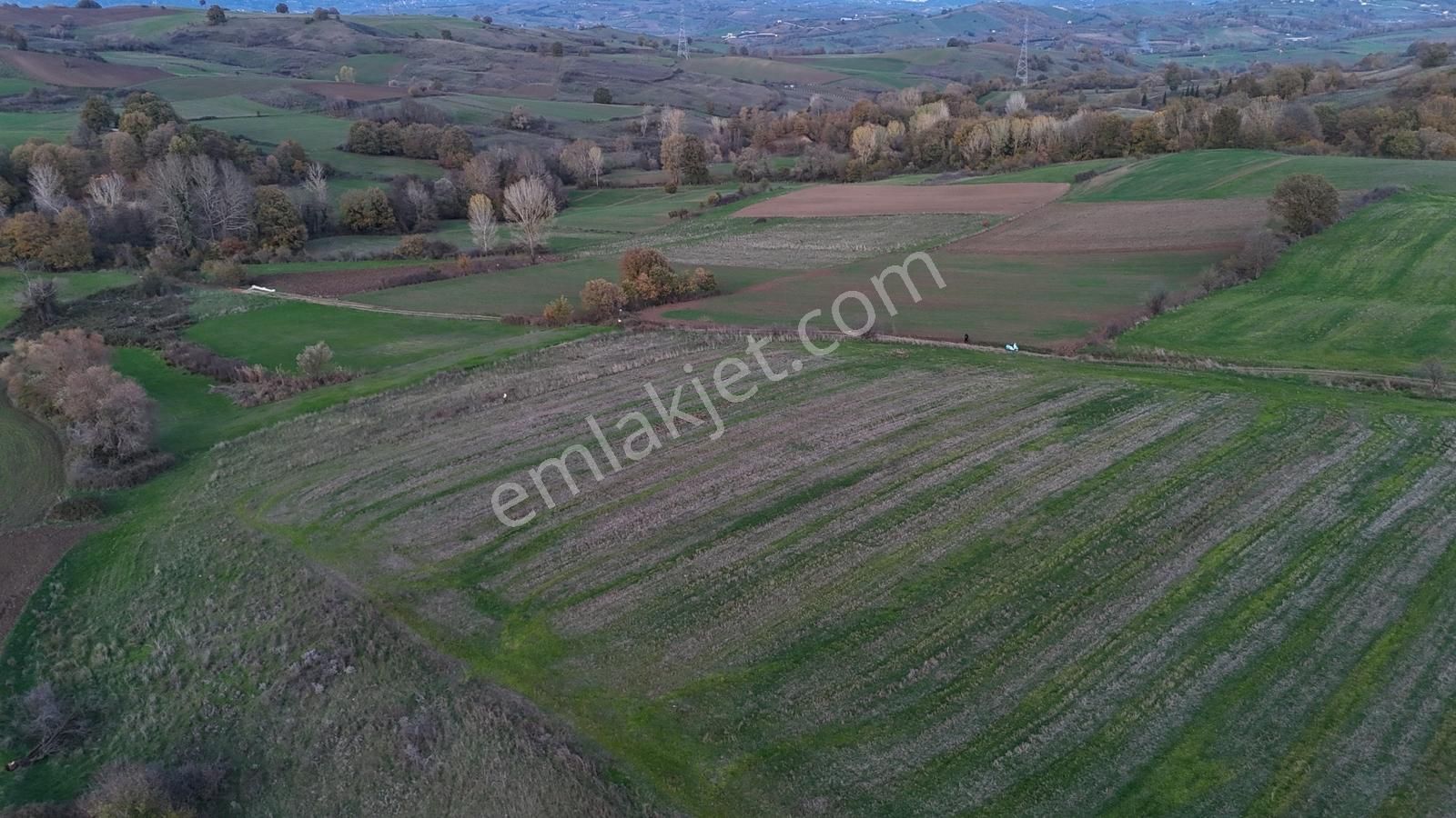 Deniz'den Kızderbent Köyünde %5 İmarlı Resmi Yola Cepheli Tarla - Görsel 11