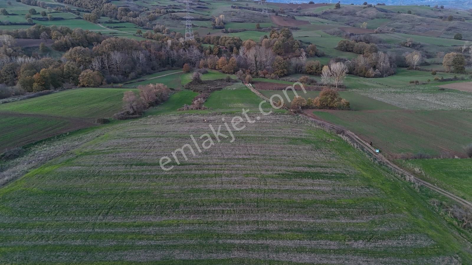 Deniz'den Kızderbent Köyünde %5 İmarlı Resmi Yola Cepheli Tarla - Görsel 10