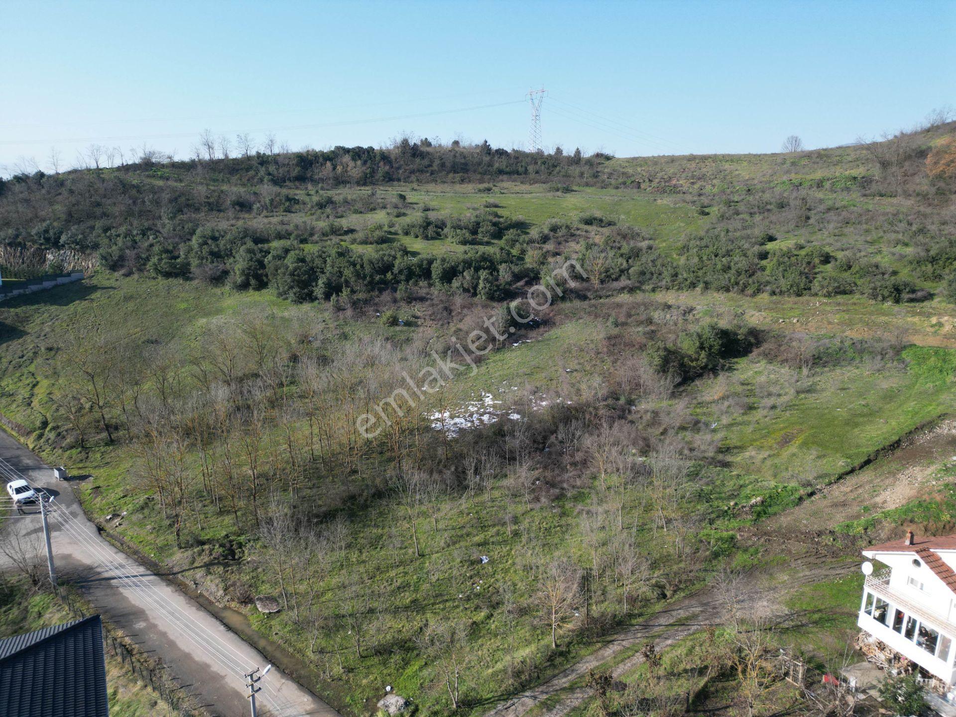 Konuralp Üniversite Bölgesi'nde 1204 M2 Satılık Parseller - Görsel 34