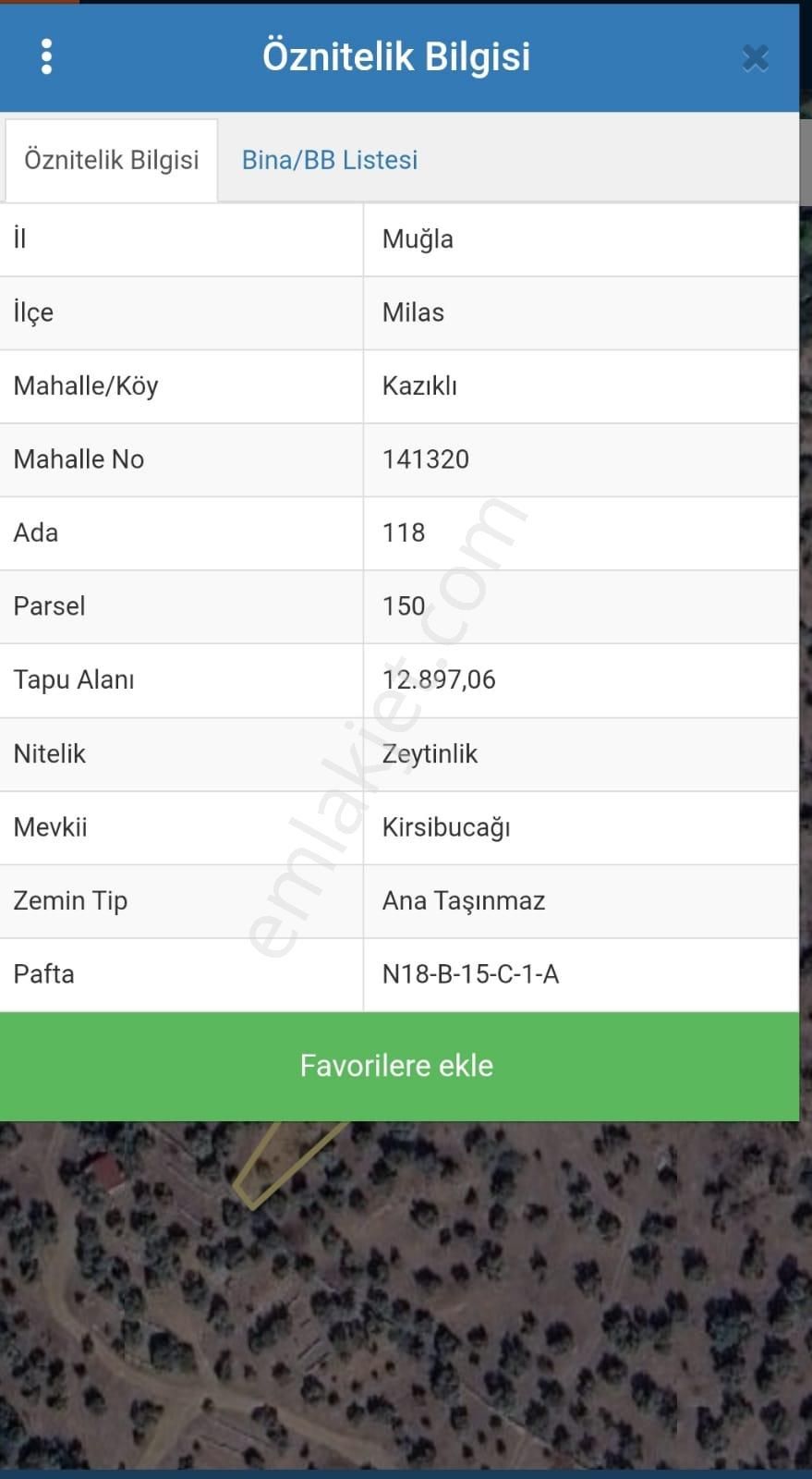 Muğla Milas Kazıklı 13 Dönüm Zeytinlik - Görsel 2