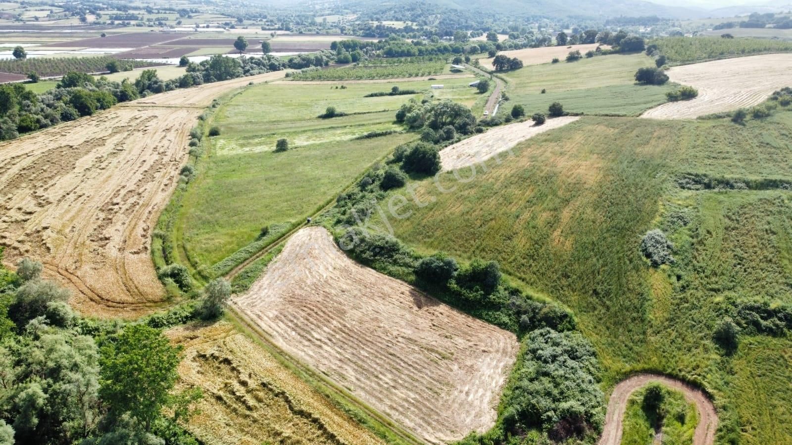 Çanakkale Biga Bakacak Köyünde Satılık 14.049 M2 Satılık Tarla - Görsel 8