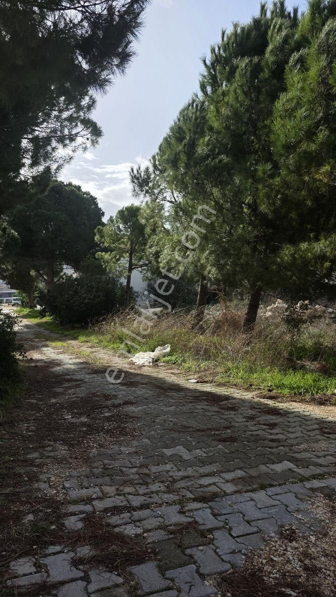 Şifne Yalıda 550 M2 Tek Konutluk Villa Arsası - Görsel 3