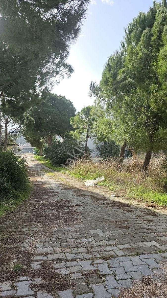 Şifne Yalıda 550 M2 Tek Konutluk Villa Arsası - Görsel 5
