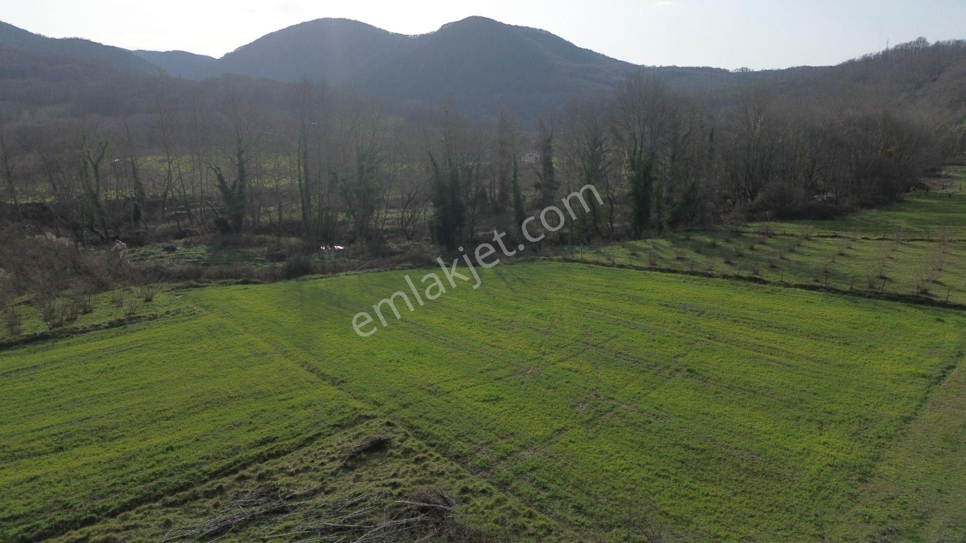 Dc Gayrimenkul'den Ağva Kalem Köyde 486m2 Doğa İçerisinde Arazi - Görsel 8