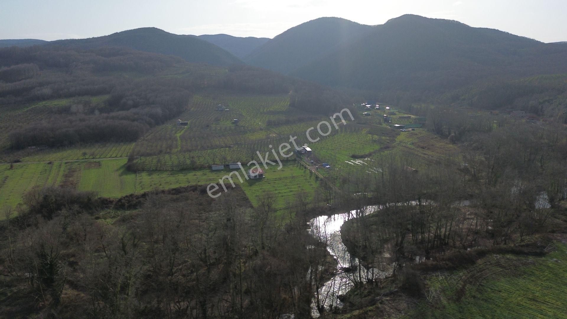 Dc Gayrimenkul'den Ağva Kalem Köyde 486m2 Doğa İçerisinde Arazi - Görsel 10