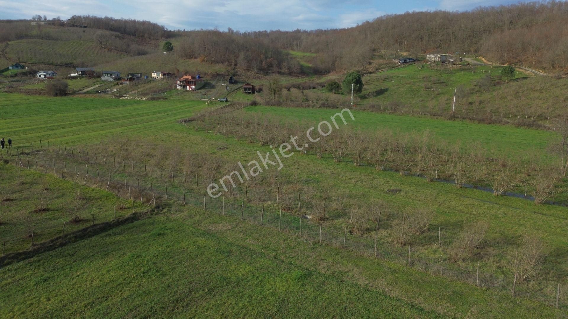 Dc Gayrimenkul'den Ağva Kalem Köyde 486m2 Doğa İçerisinde Arazi - Görsel 9