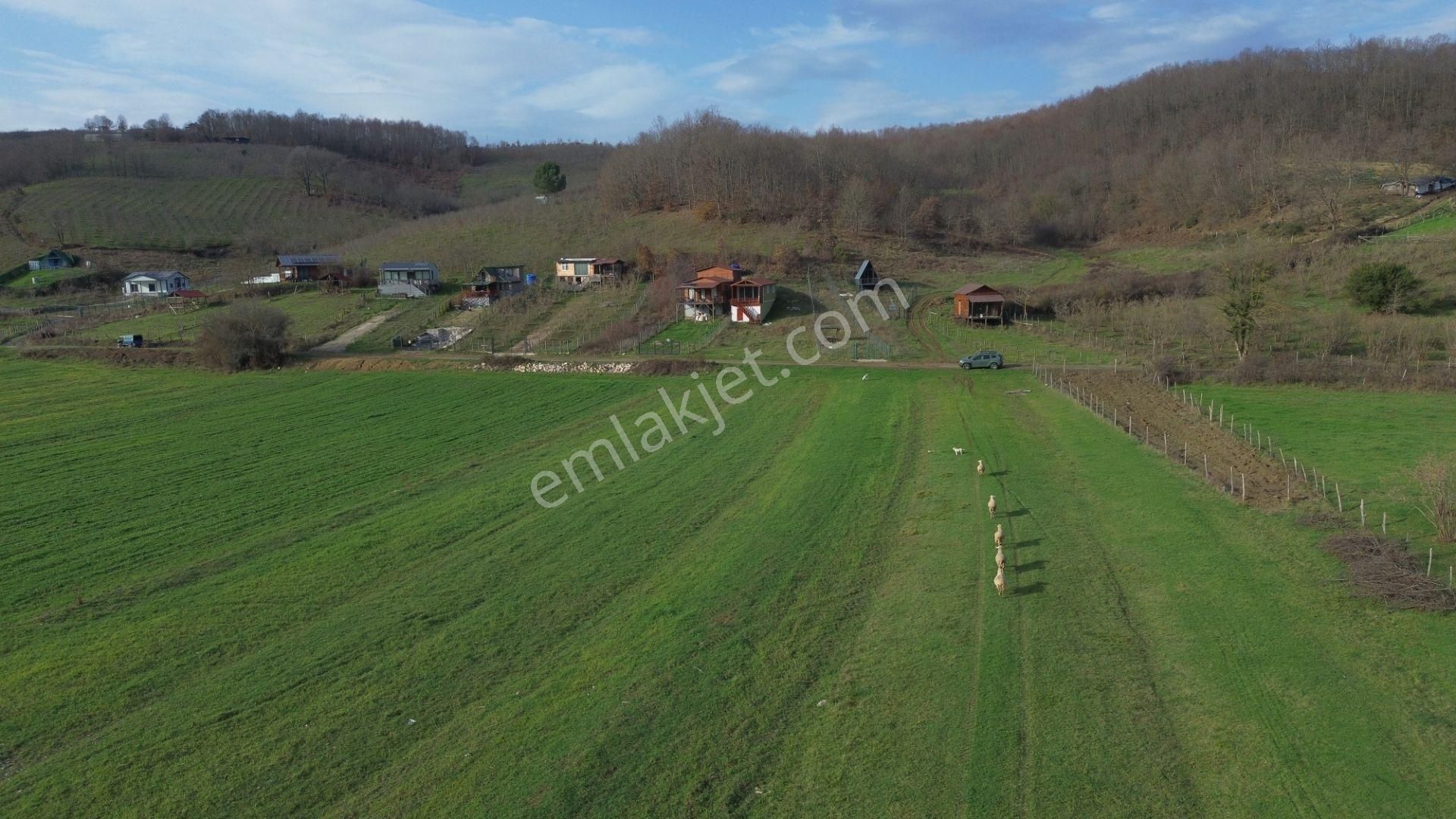 Dc Gayrimenkul'den Ağva Kalem Köyde 486m2 Doğa İçerisinde Arazi - Görsel 6