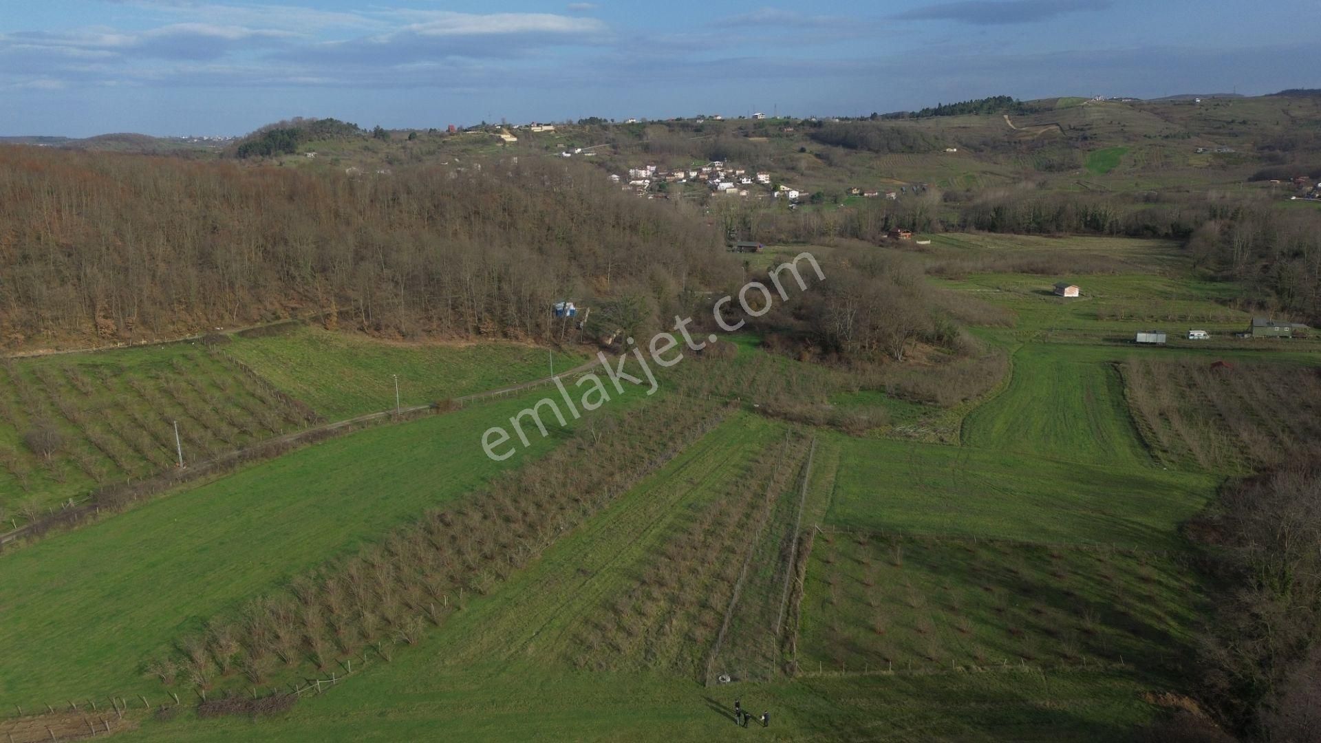 Dc Gayrimenkul'den Ağva Kalem Köyde 486m2 Doğa İçerisinde Arazi - Görsel 11