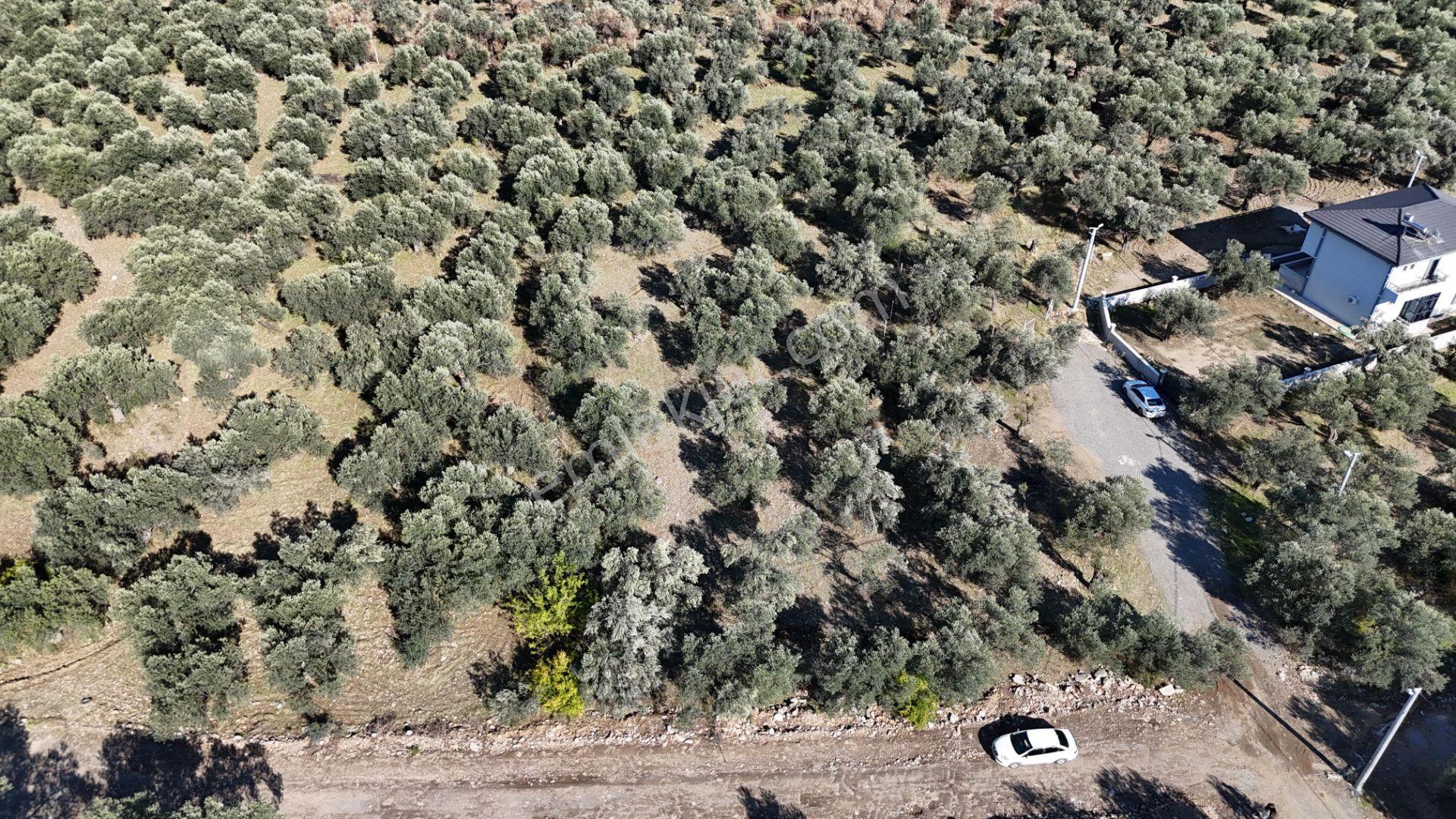 Parstan Zeytinlide 410 Metrekare %30 İmarlı Satılık Arsa - Görsel 6