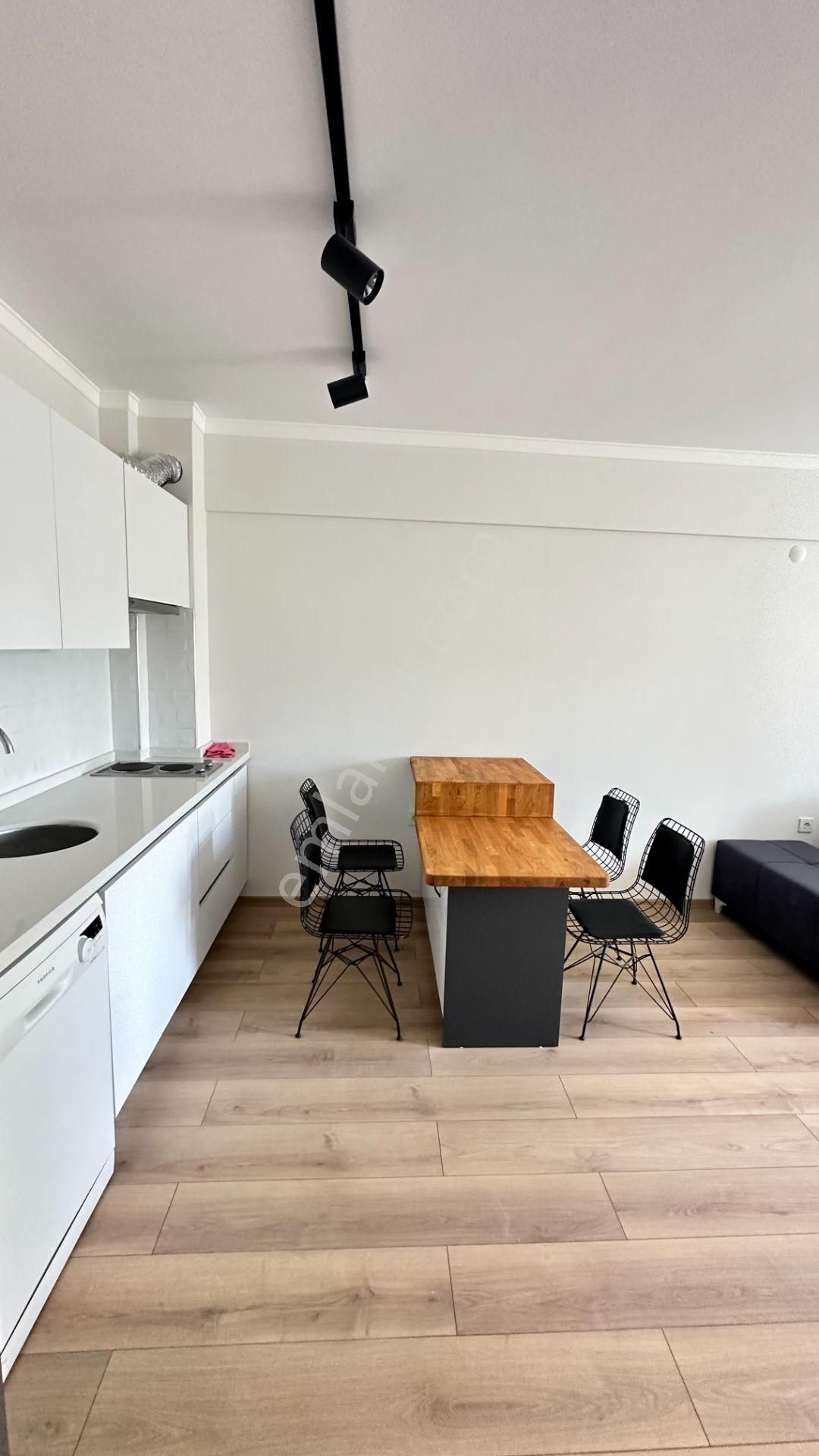 Barbaros Mahallesi Adliye Karşısında Full Eşyalı 1+1 - Görsel 9